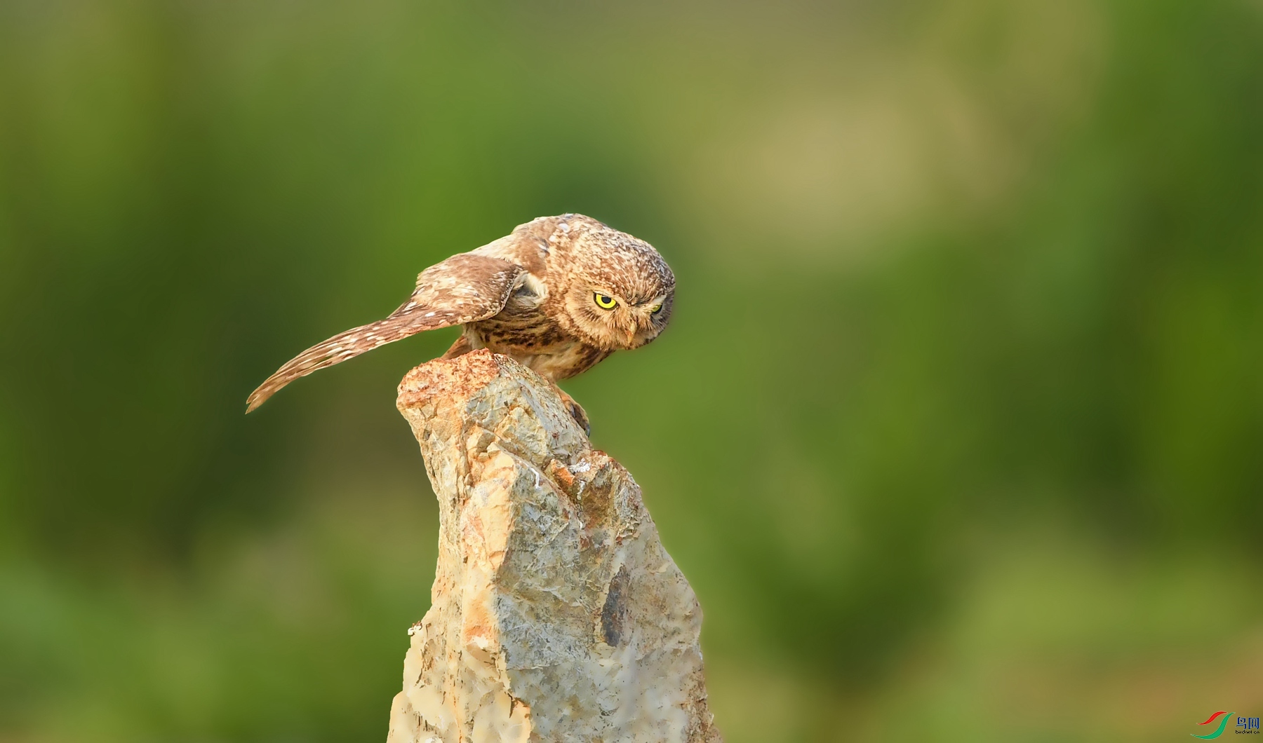 DSC_4314_����.jpg