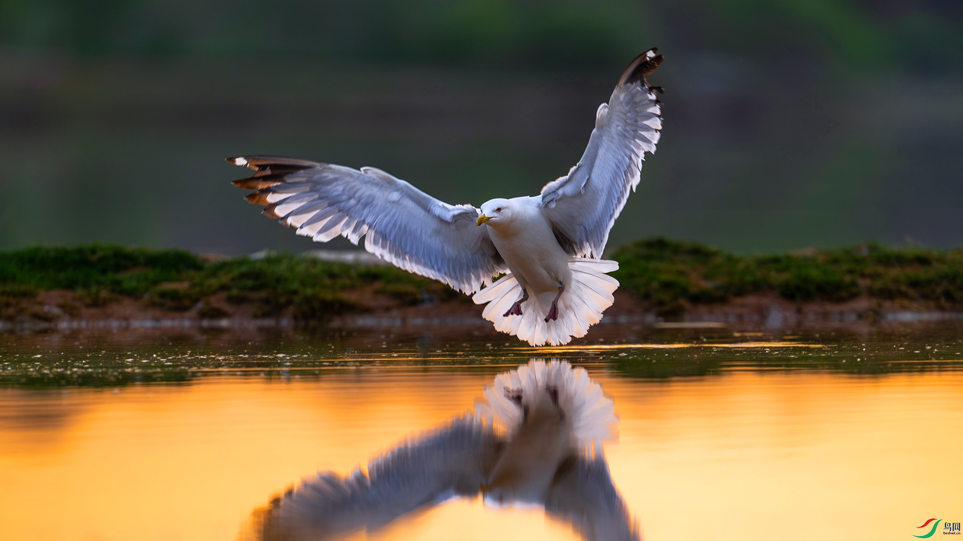 DSC_4673==1w.jpg