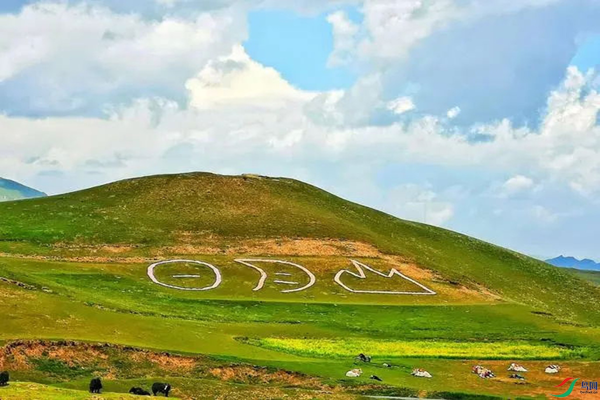 IMG_2375 ����.jpg