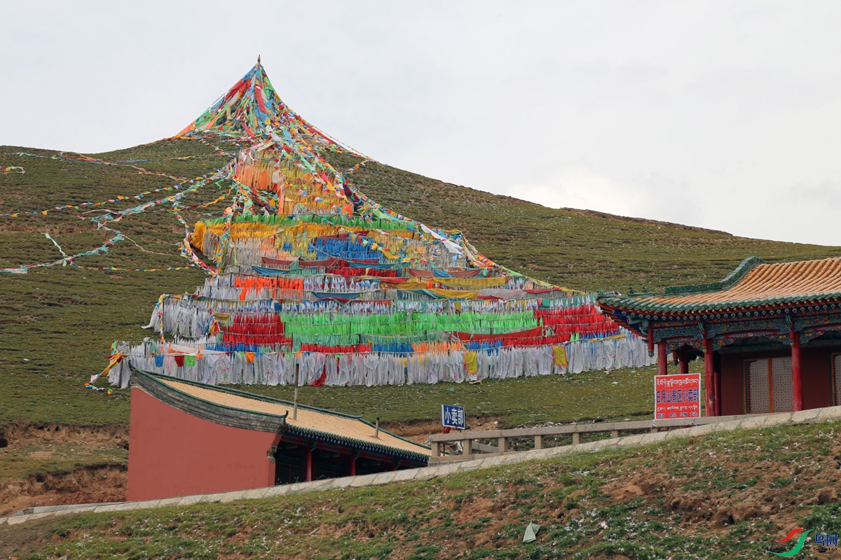 IMG_2377 ����.jpg