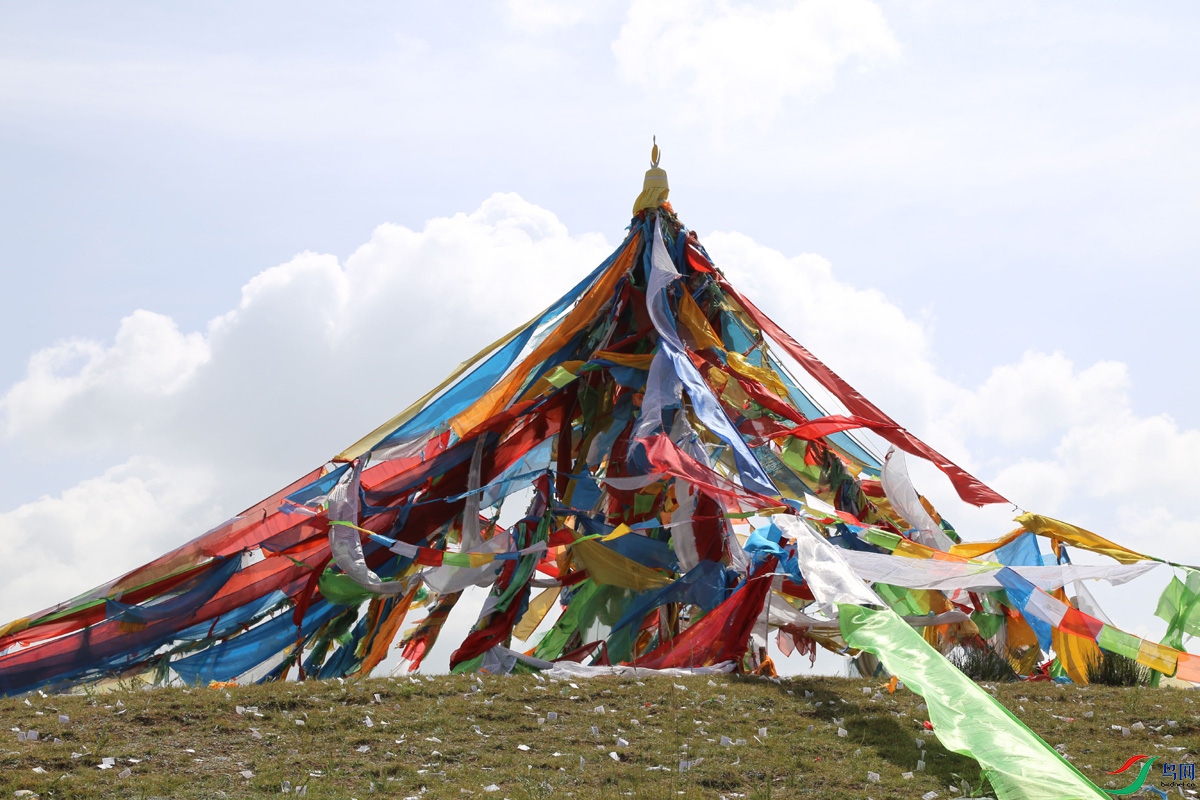 IMG_2380 ����.jpg