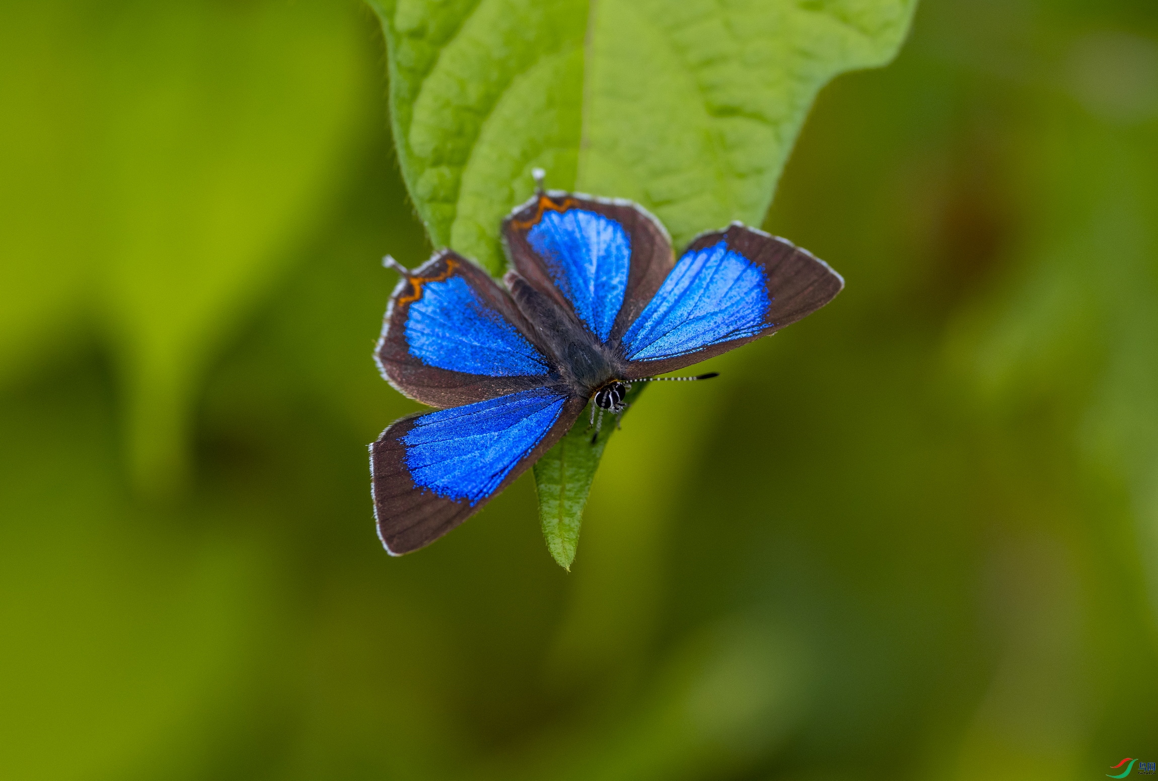 ɯ�Ʋʻҵ� (9)-1.jpg