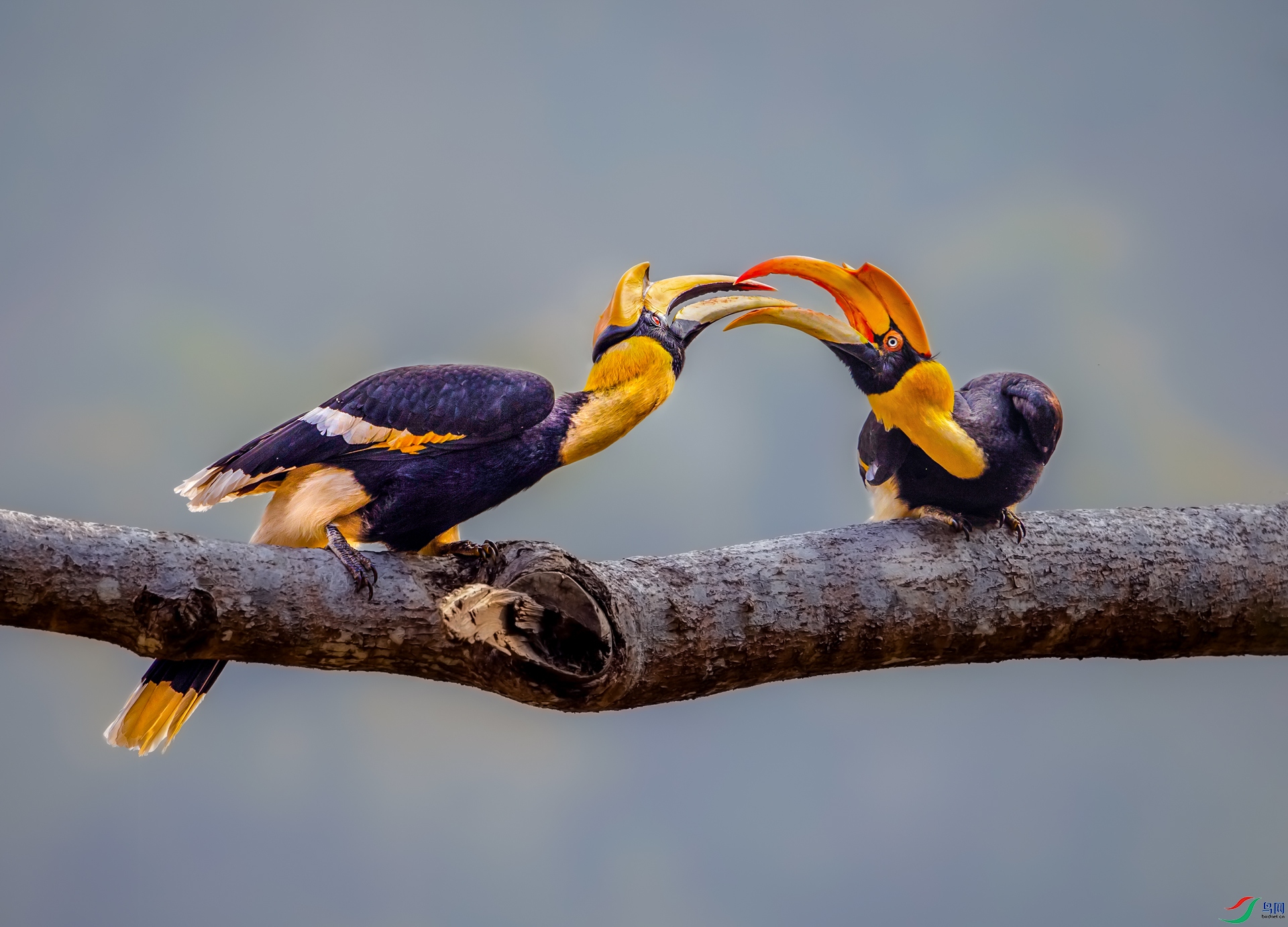 _O8A6391-5.jpg