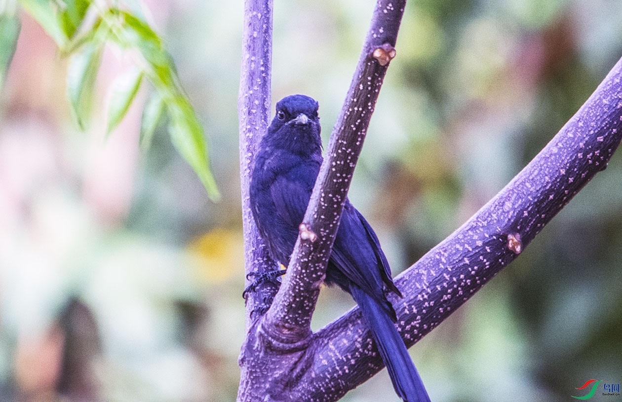 DSC_5828.jpg