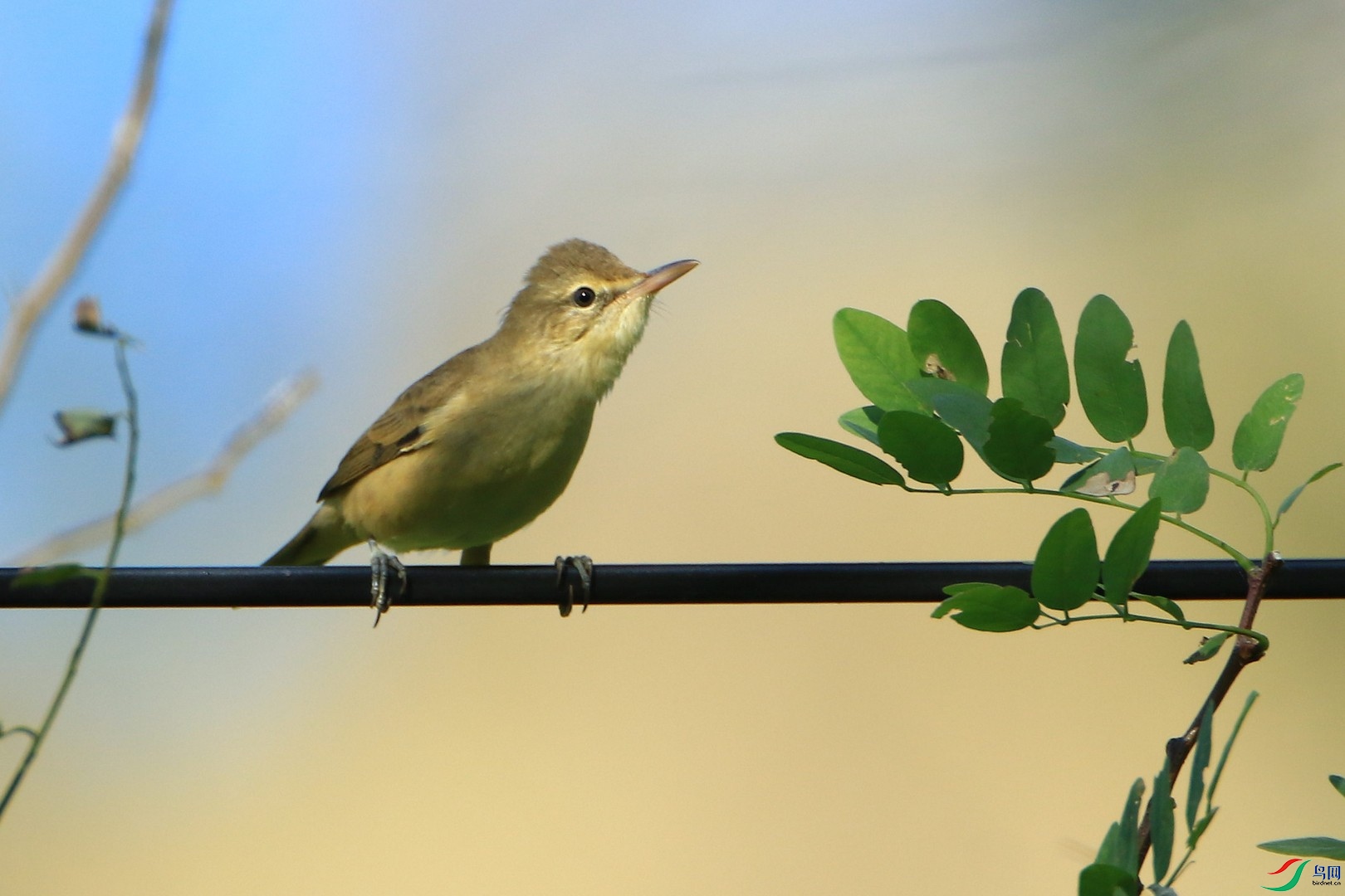 «ݺ ��0F4A5658.jpg