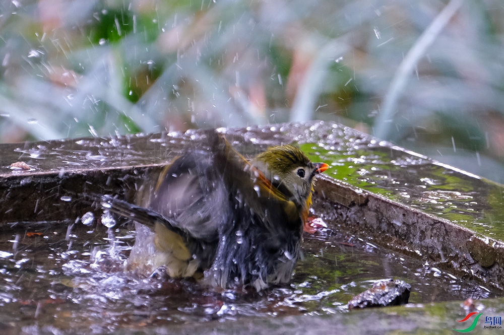 DSCF7694.1.JPG