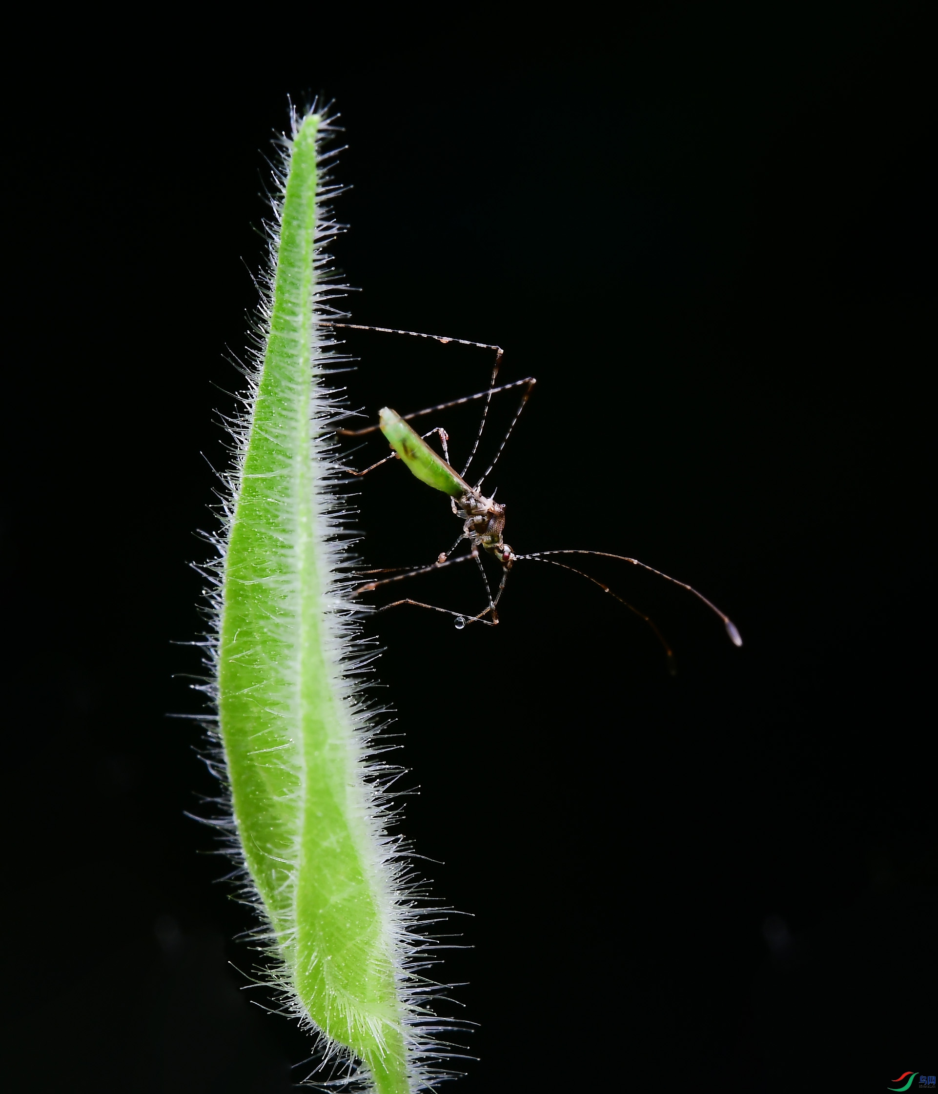 DSC_5072-0.jpg