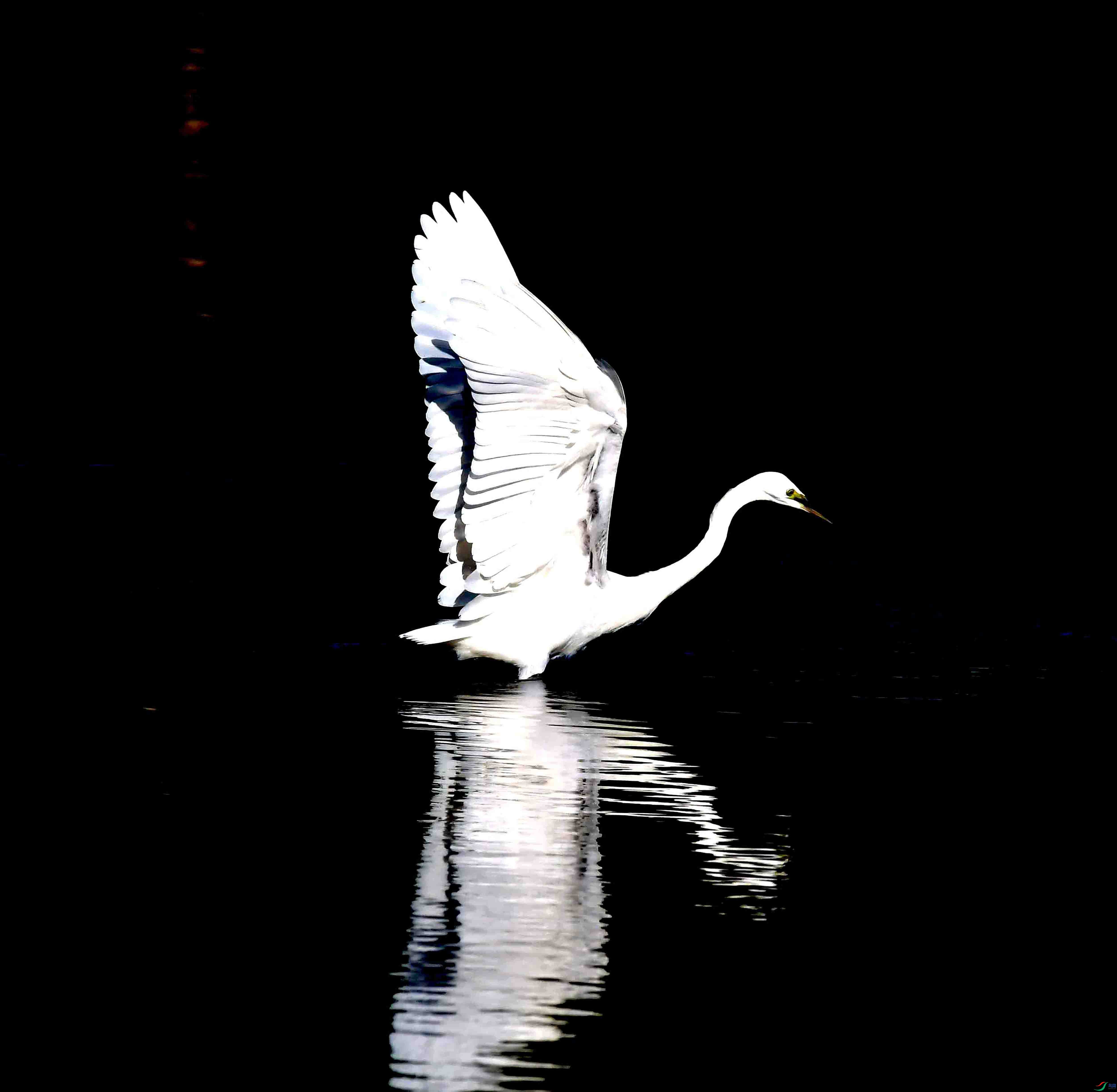 DSC_3612.JPG