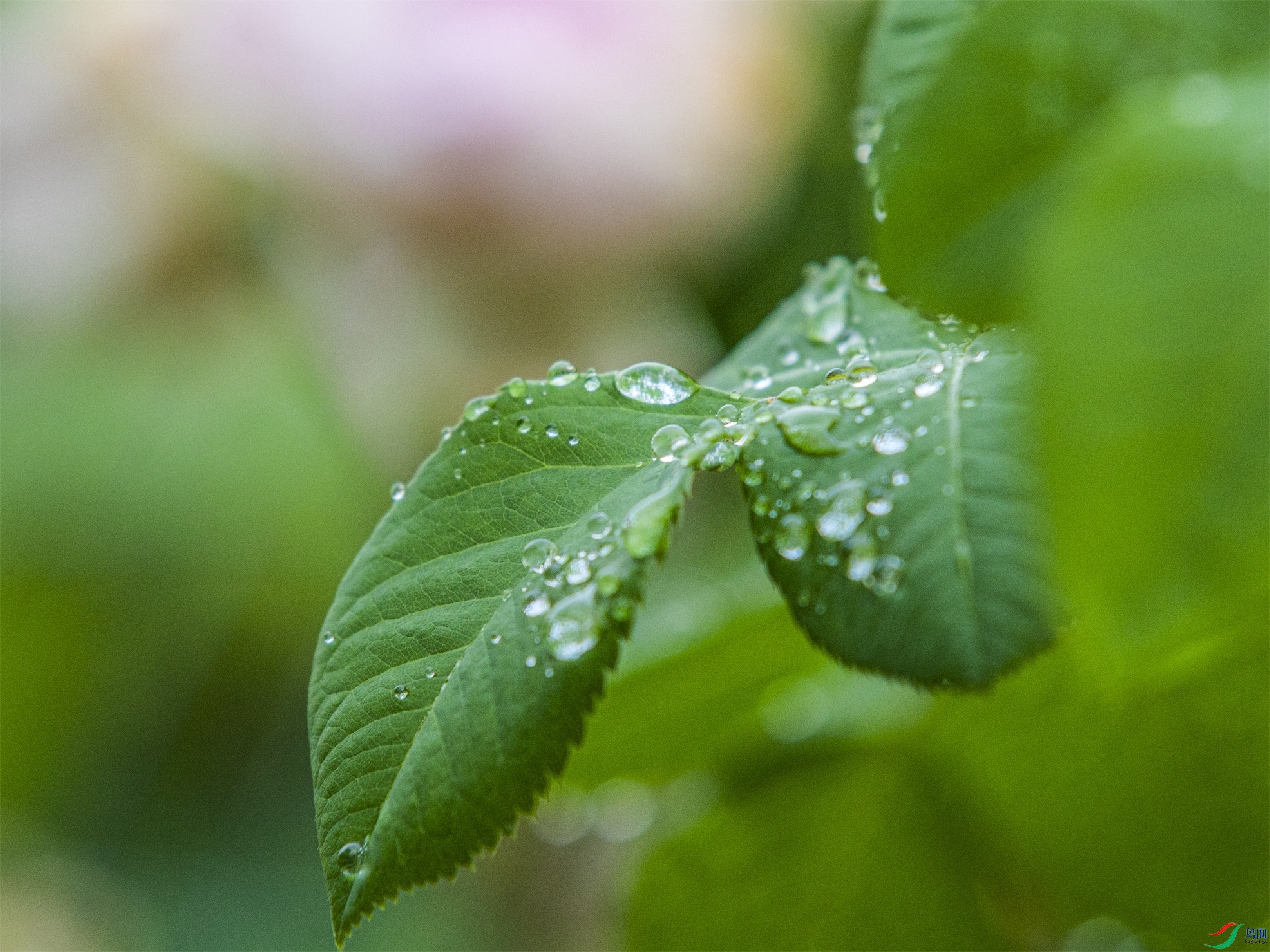 CY4A8645 ����1.jpg