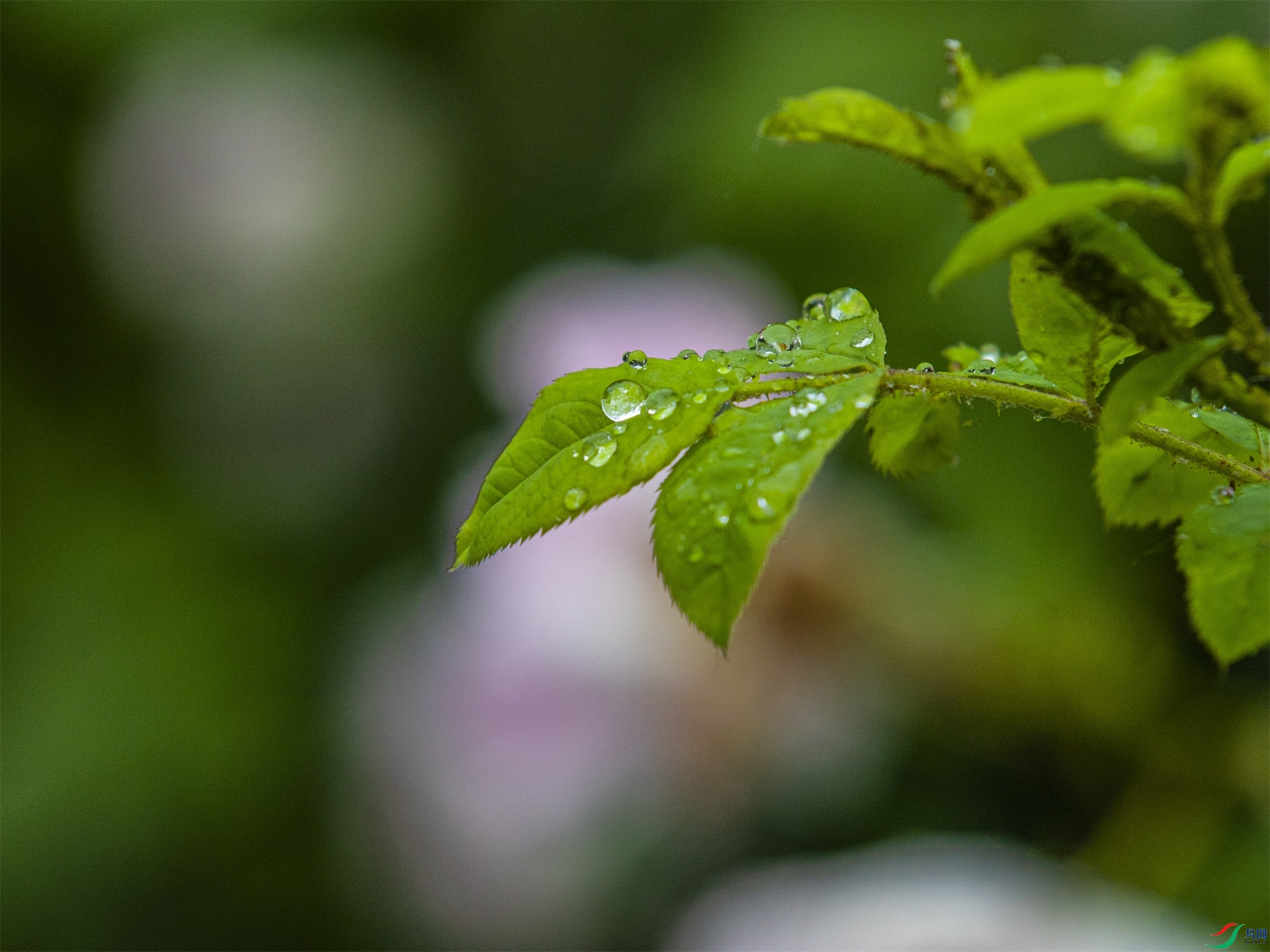 CY4A8639 ����1.jpg