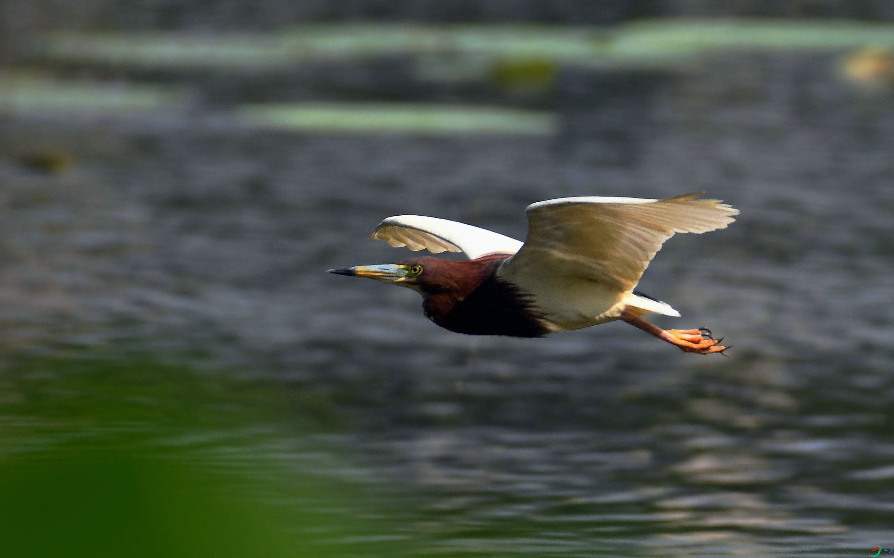 DSC_3492.JPG