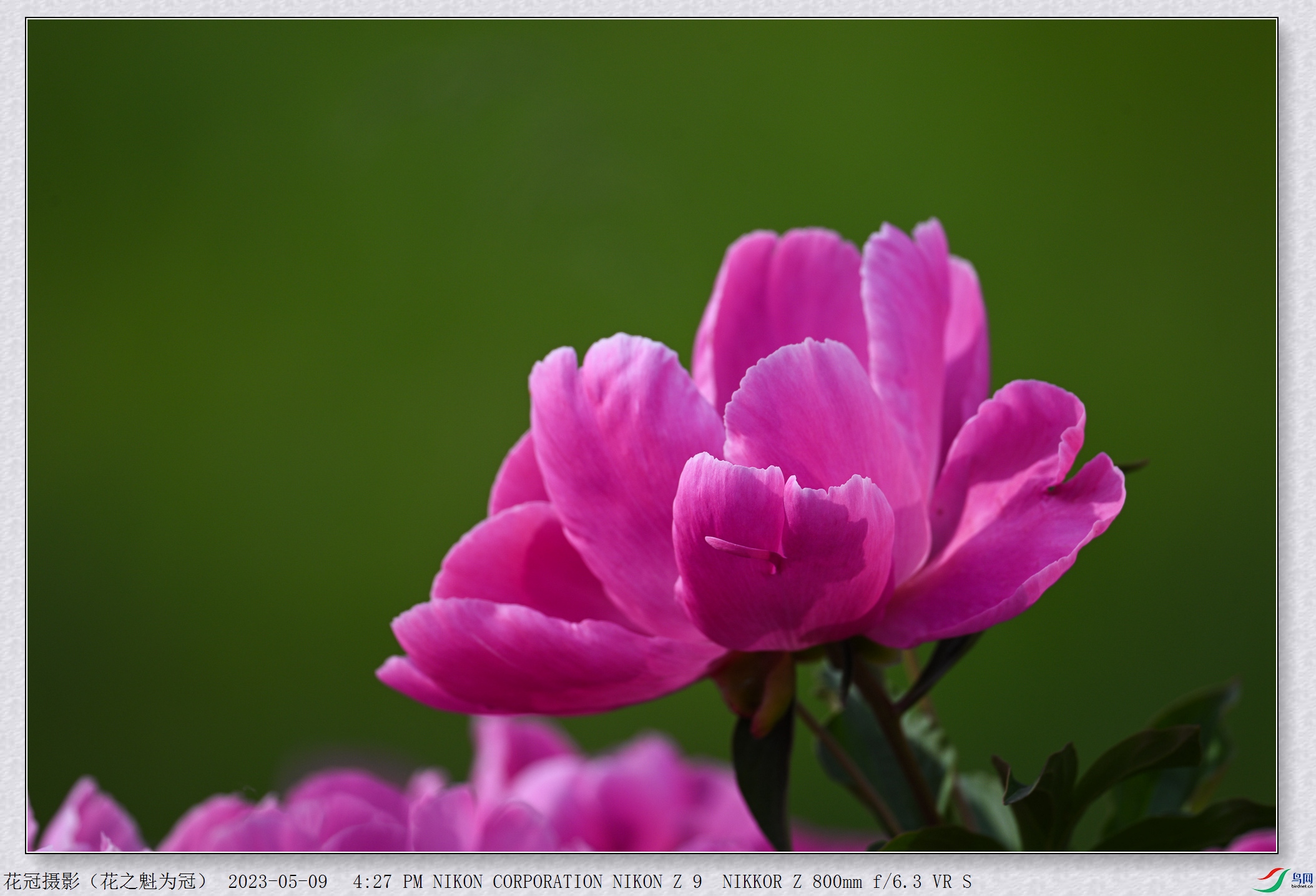 DSC_2975B-1_����.jpg