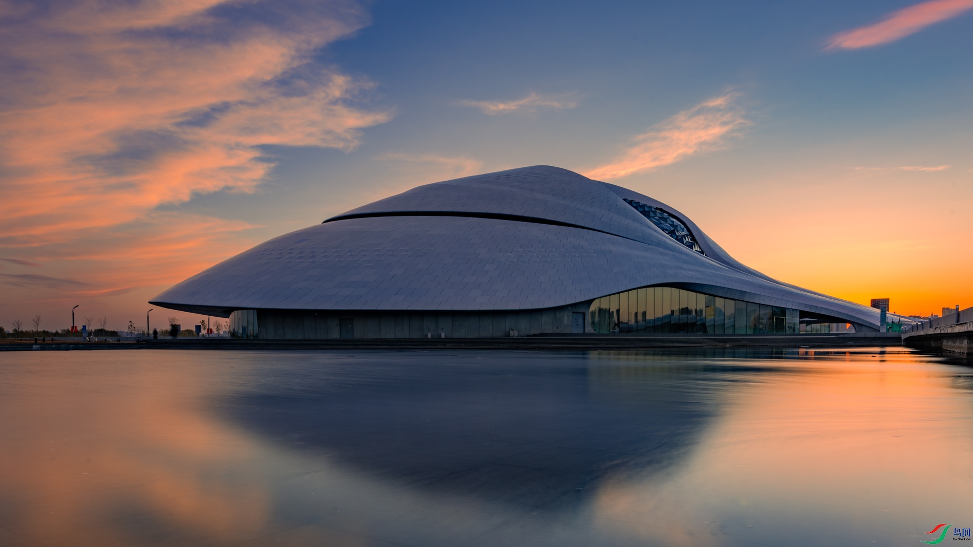 ���������Ժ