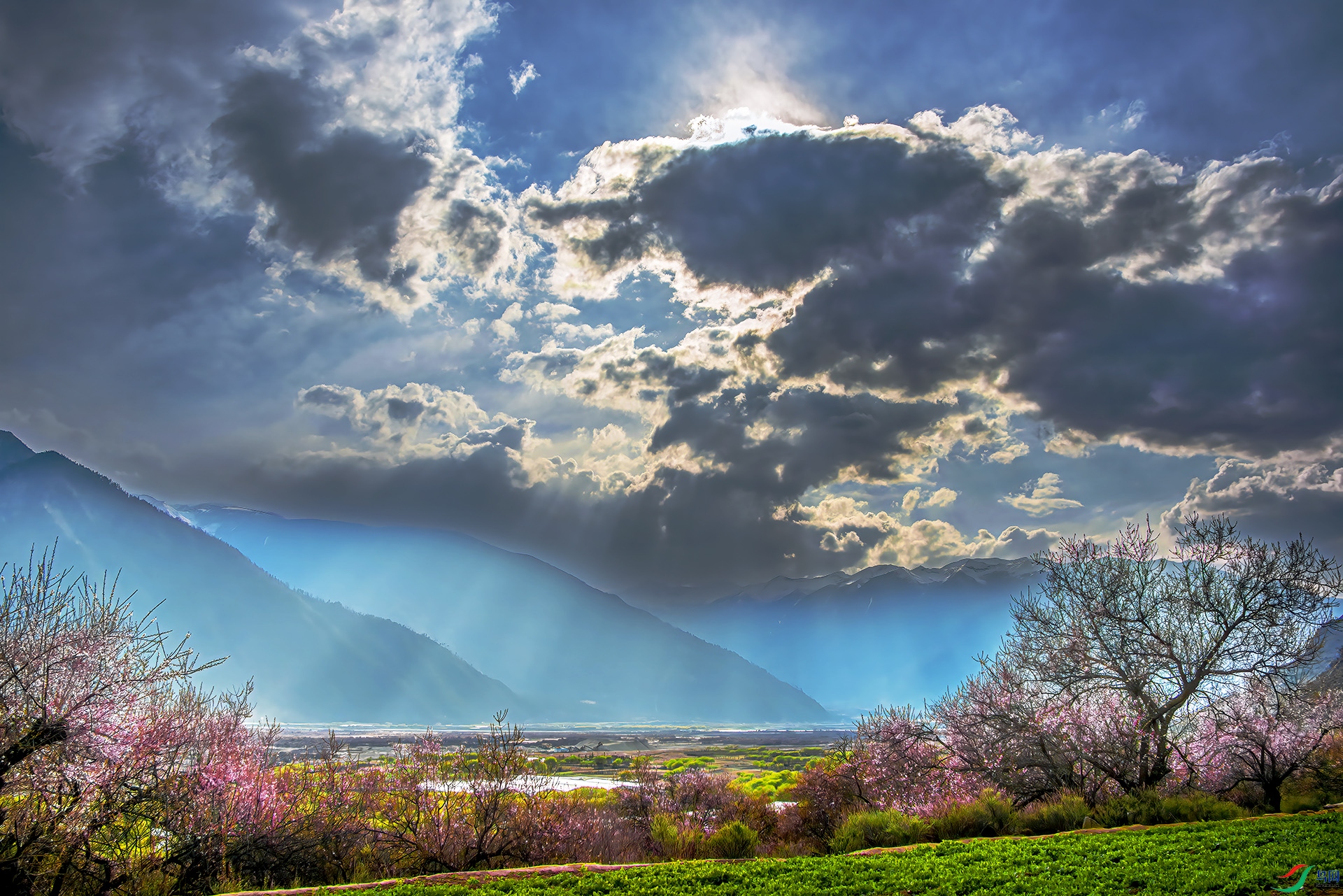 _DSC9515 - ��֥��� - A.jpg