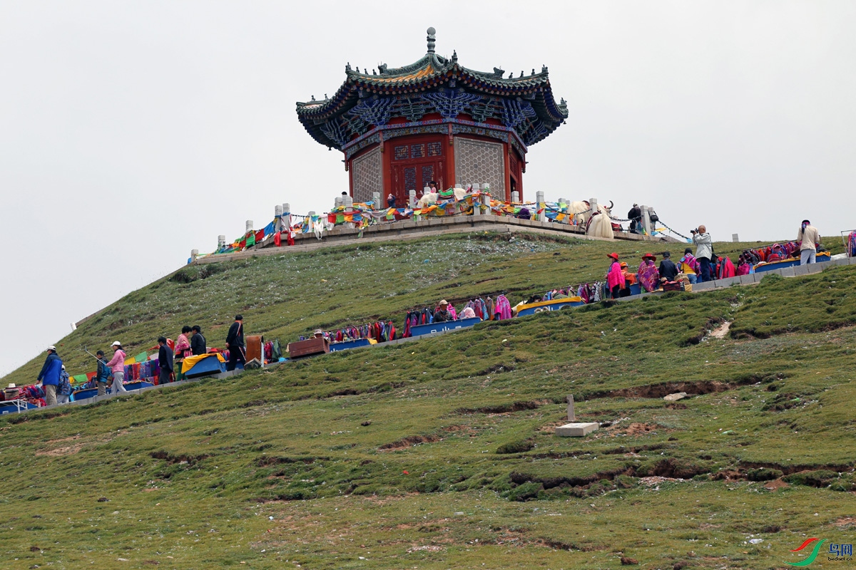 IMG_2376 ����.jpg