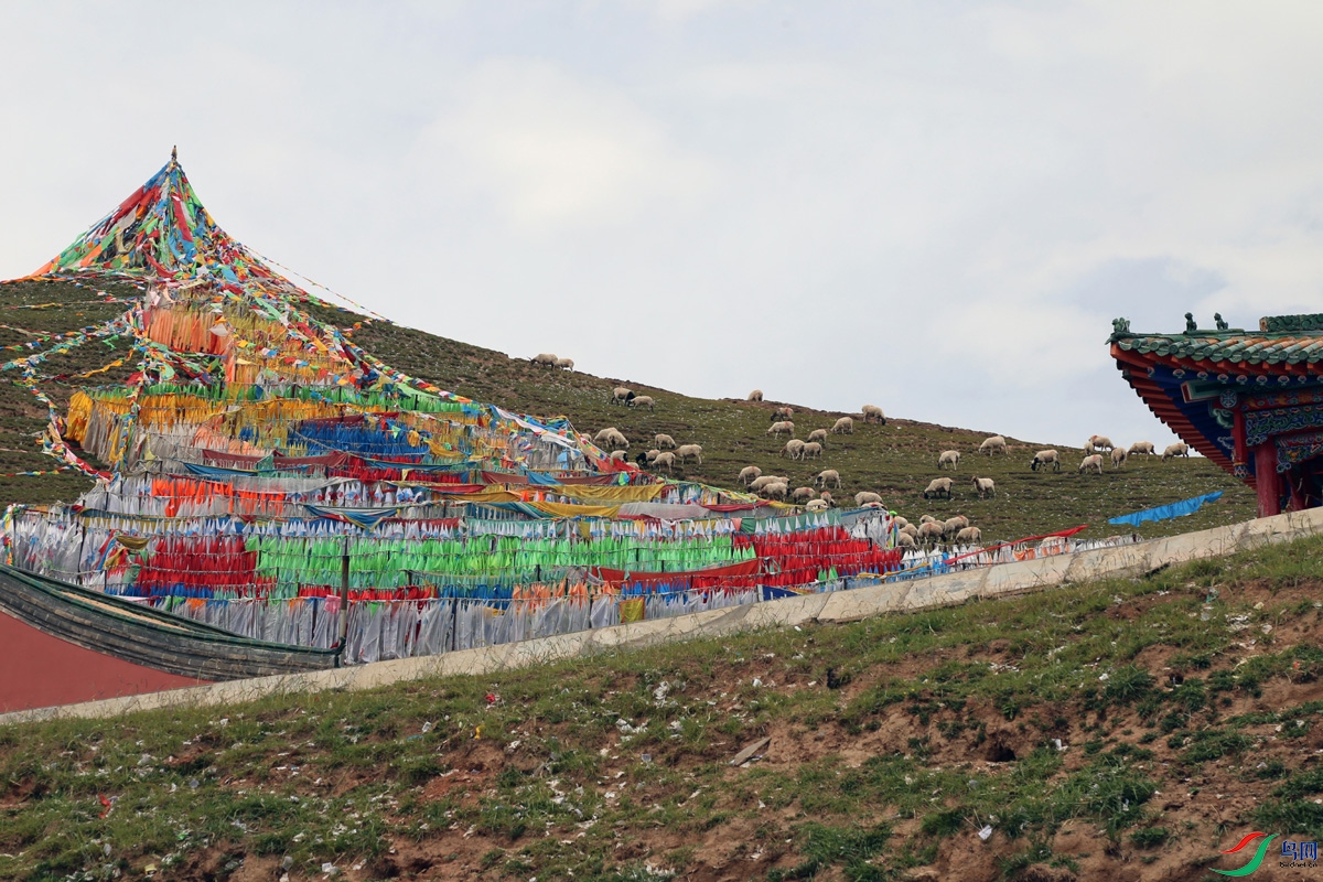 IMG_2374 ����.jpg