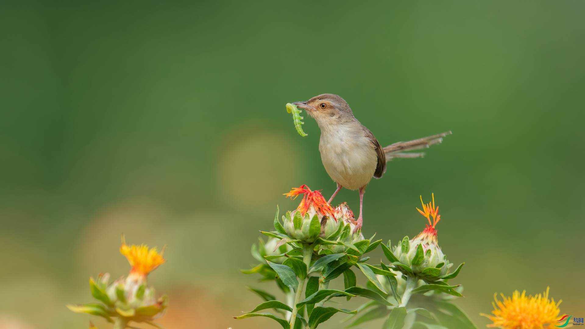 _DSC5651 ����_����.jpg