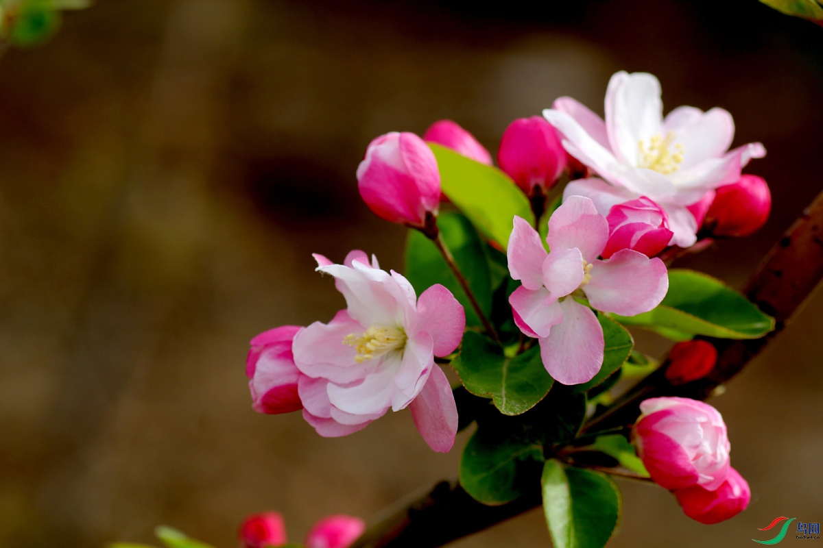 ��Ƭ 046.jpg