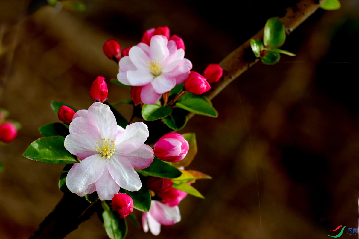 ��Ƭ 045.jpg