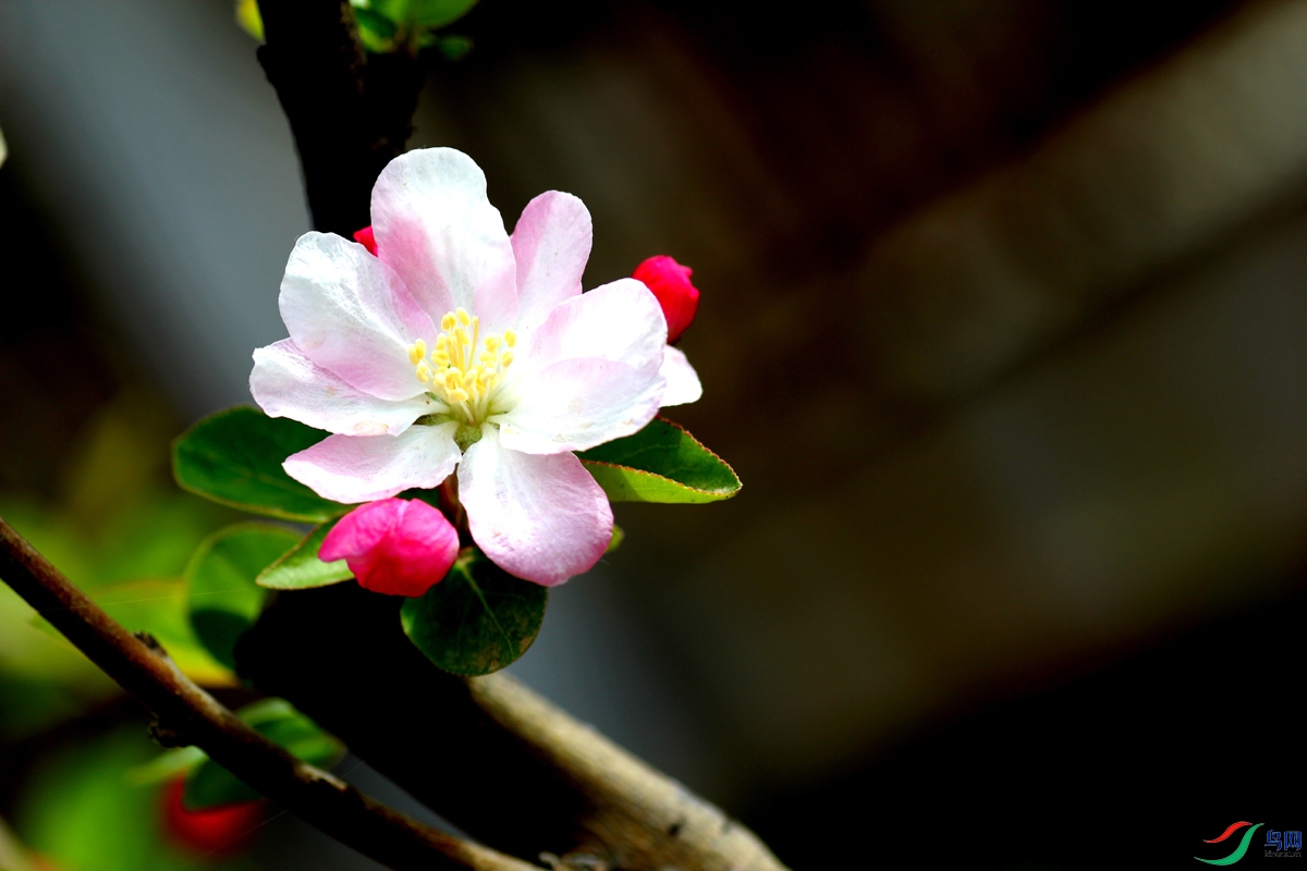��Ƭ 043.jpg