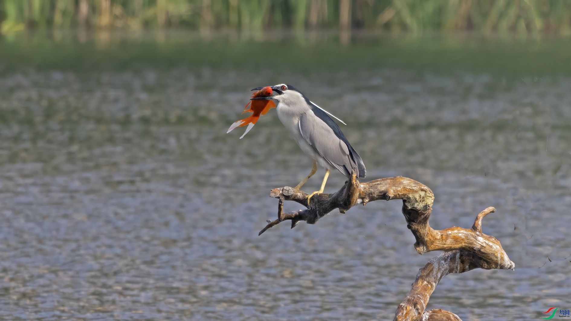 3U2A5590 ���� 2.jpg