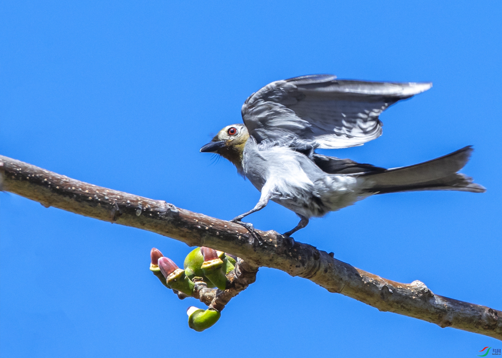 0247 ����.jpg