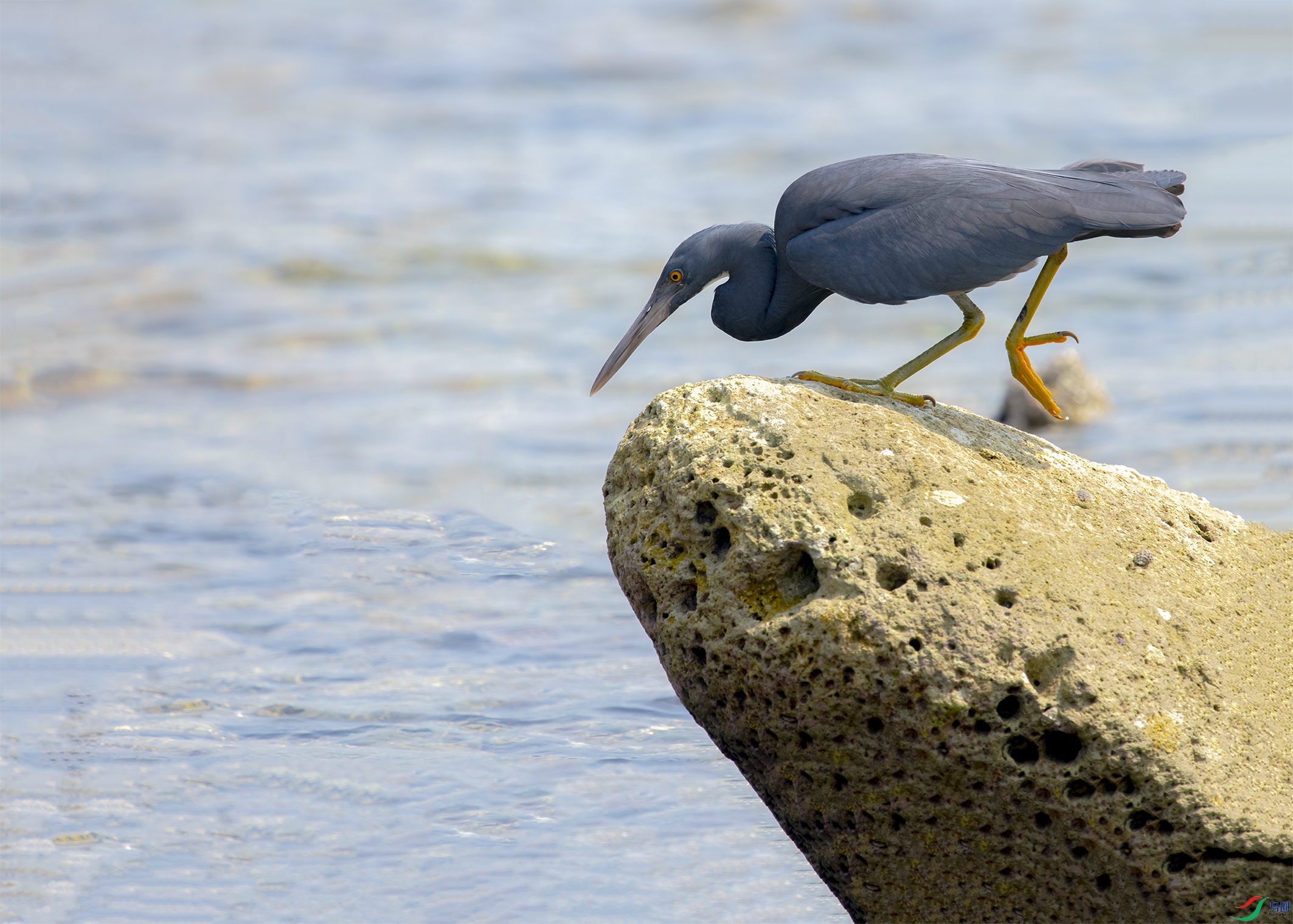 1757 ����.jpg