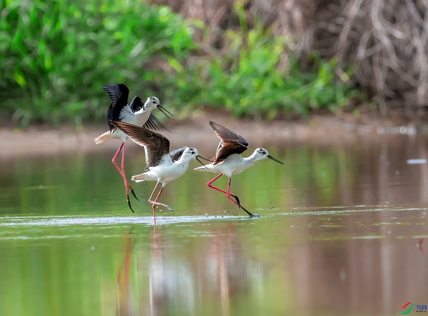 DSC_1021-1.jpg