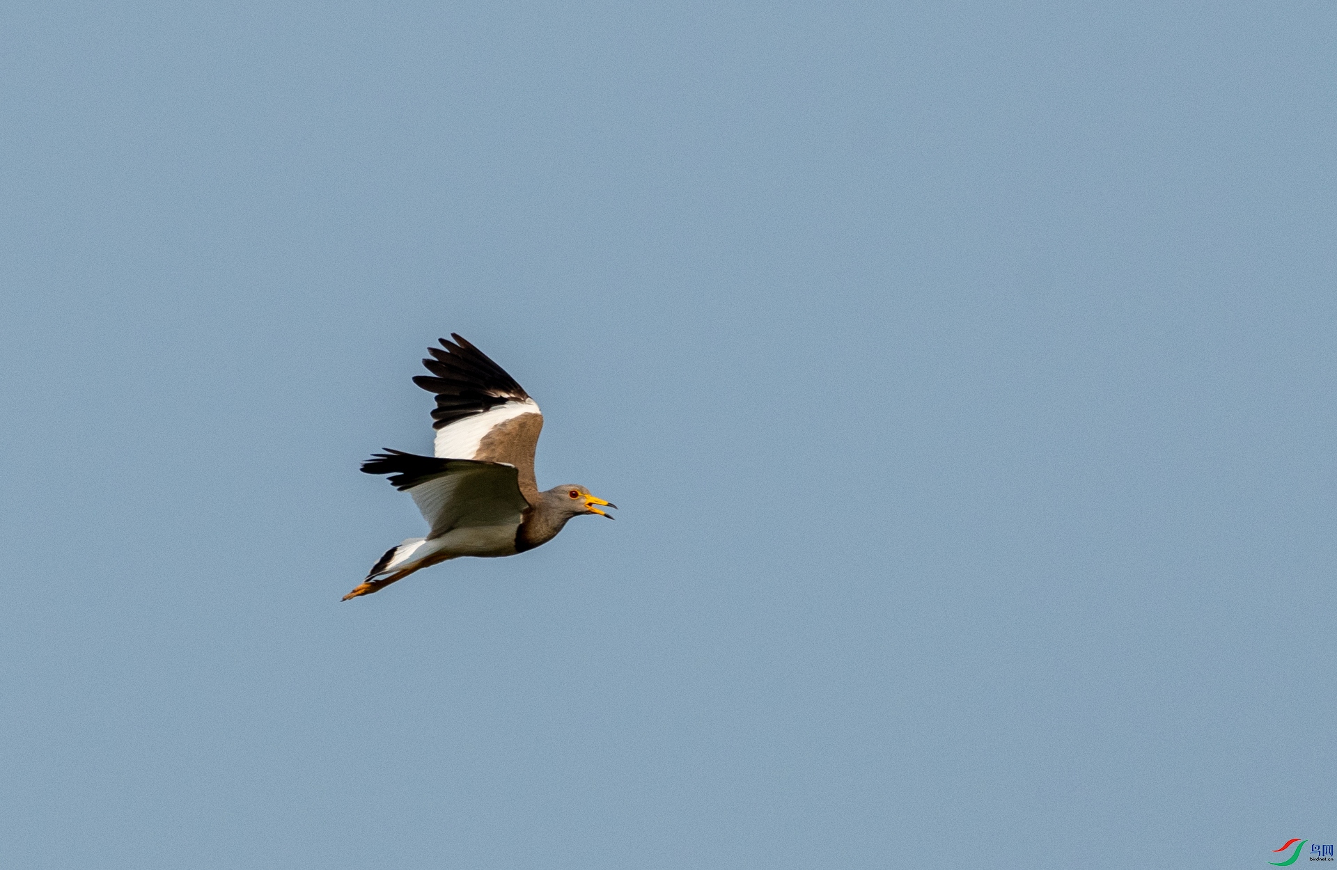 DSC_0261.jpg