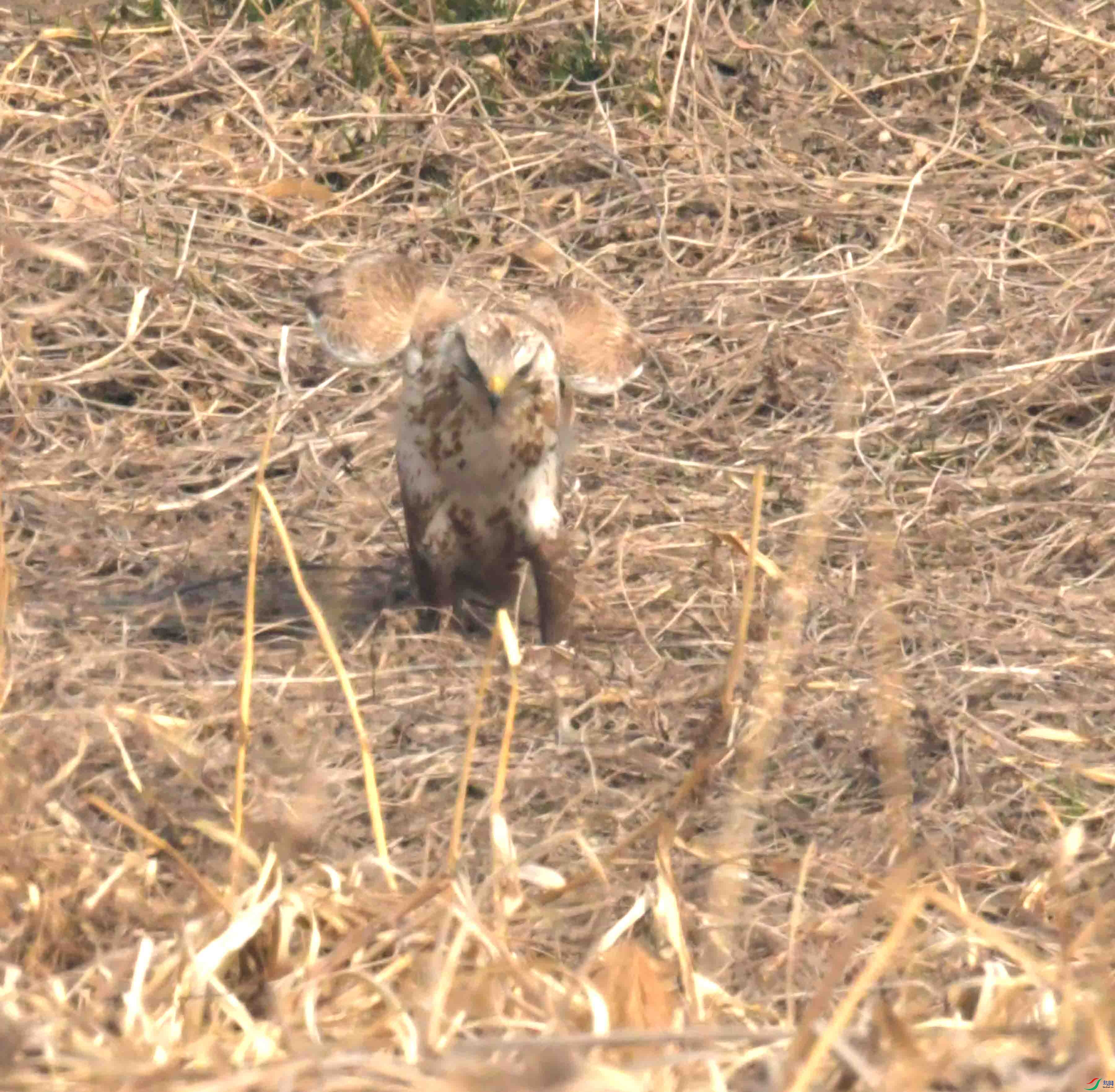 DSC_2251.JPG
