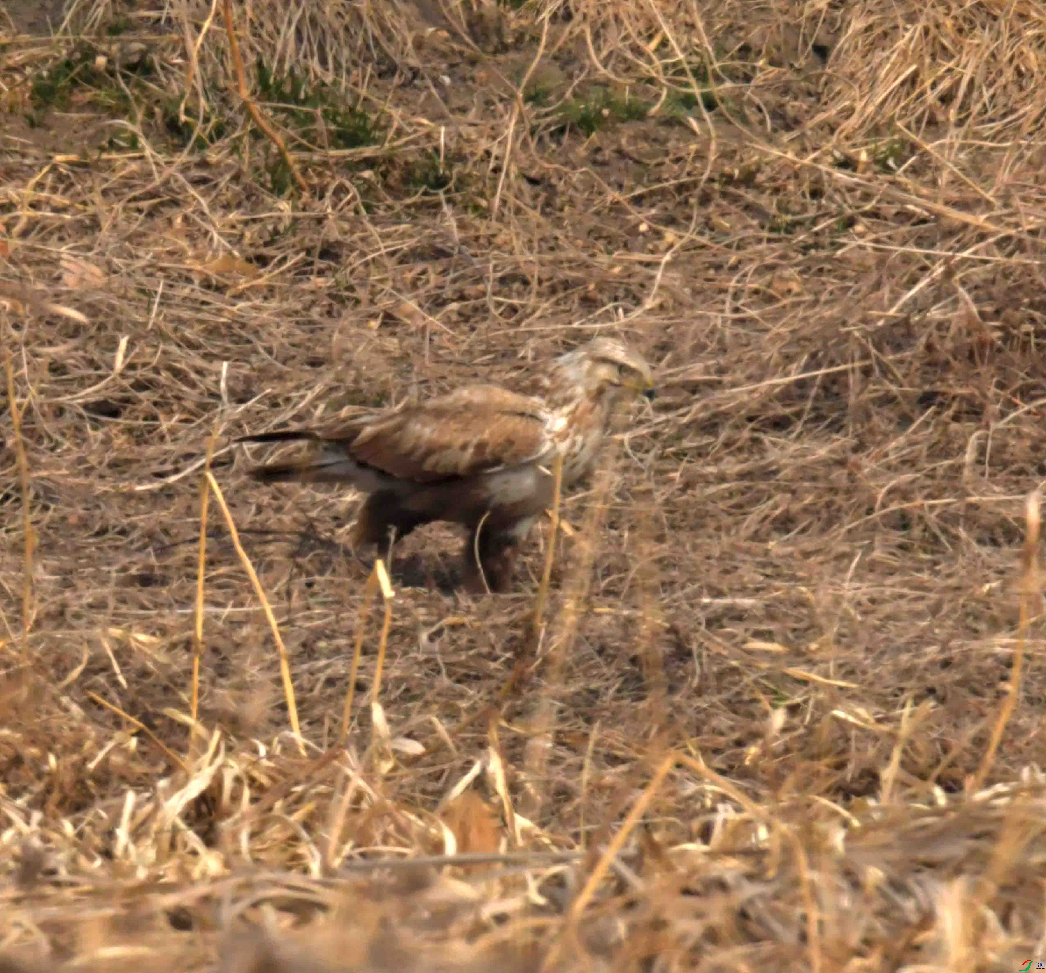 DSC_2260.JPG