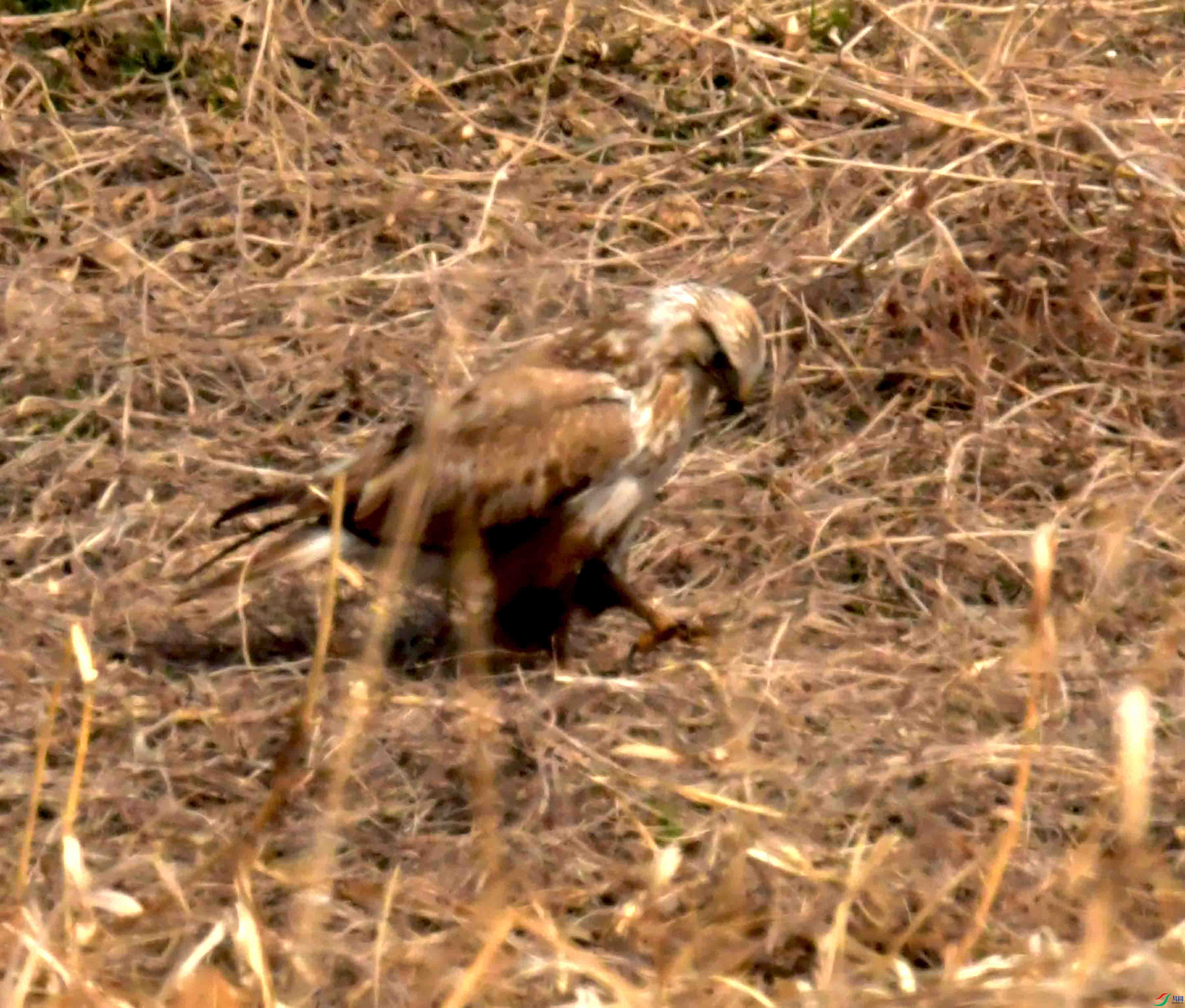 DSC_2261.JPG
