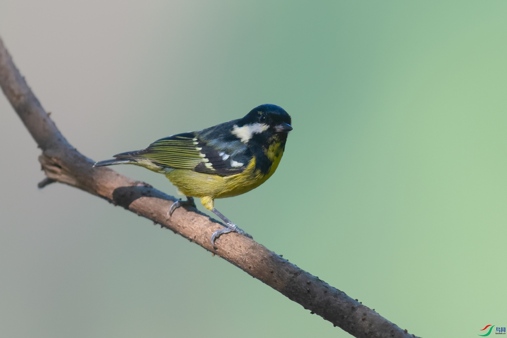3DSC_8203_DxOa.jpg