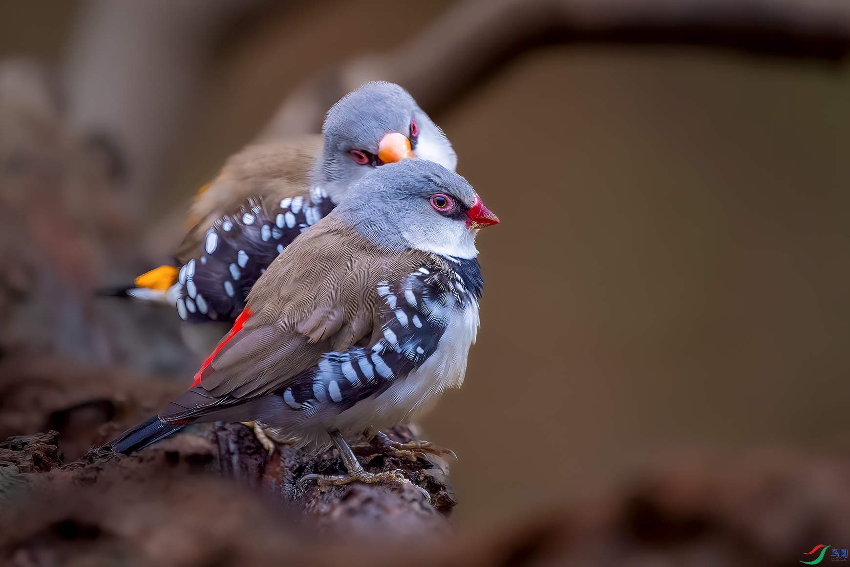 DSC_4885 ���� 2.jpg