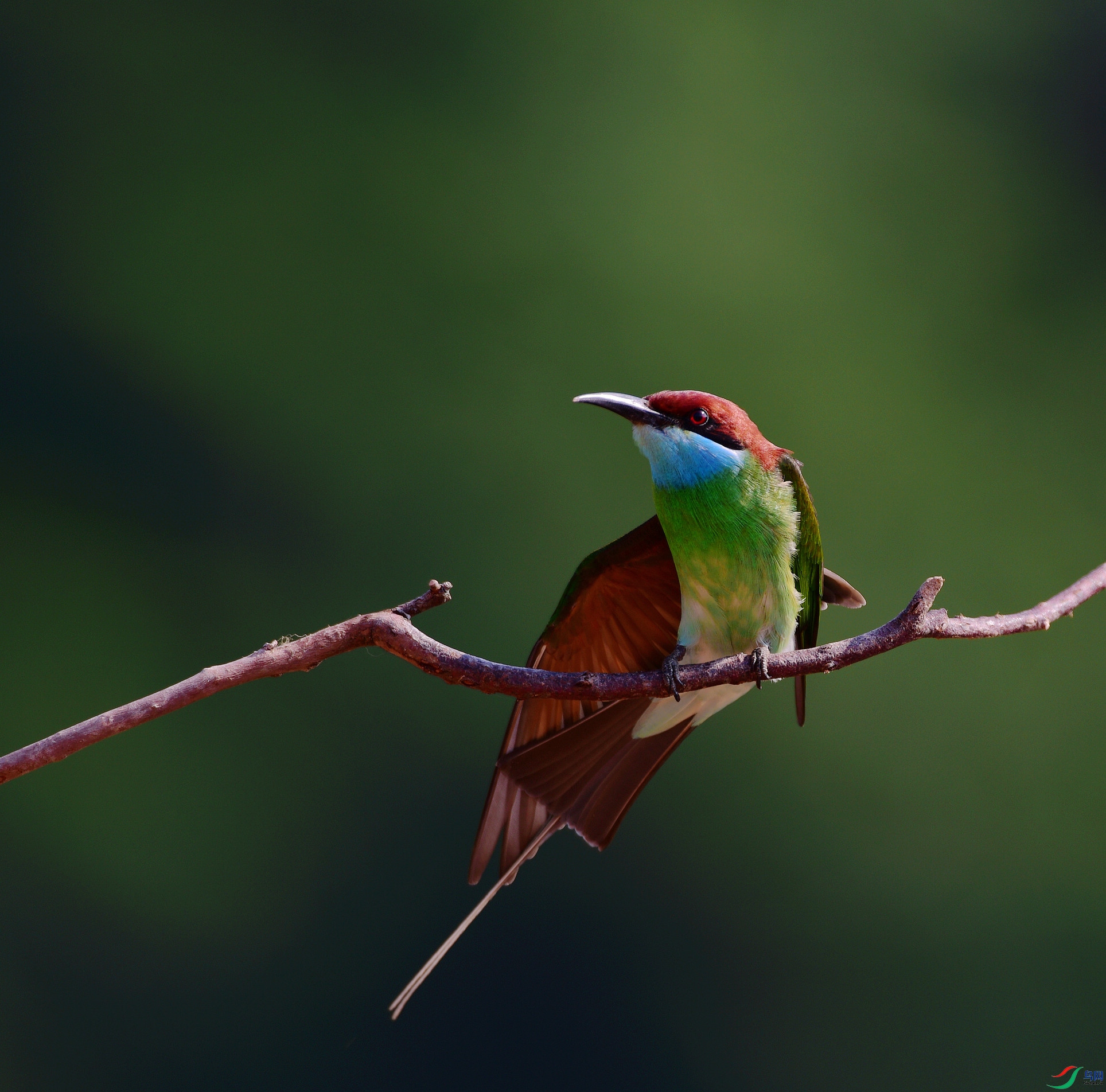 D8I_6957.jpg