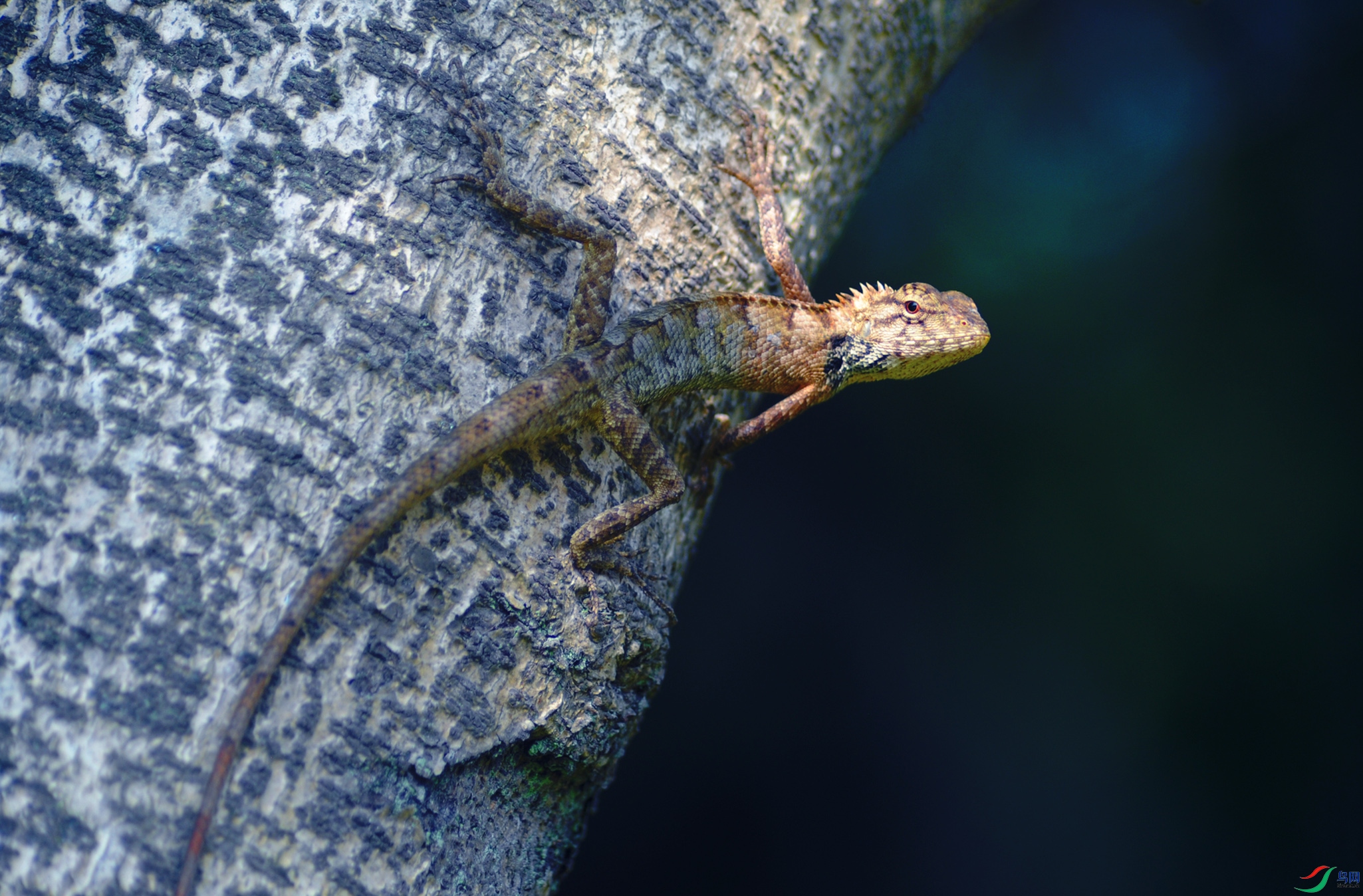 DSC_5597_.jpg