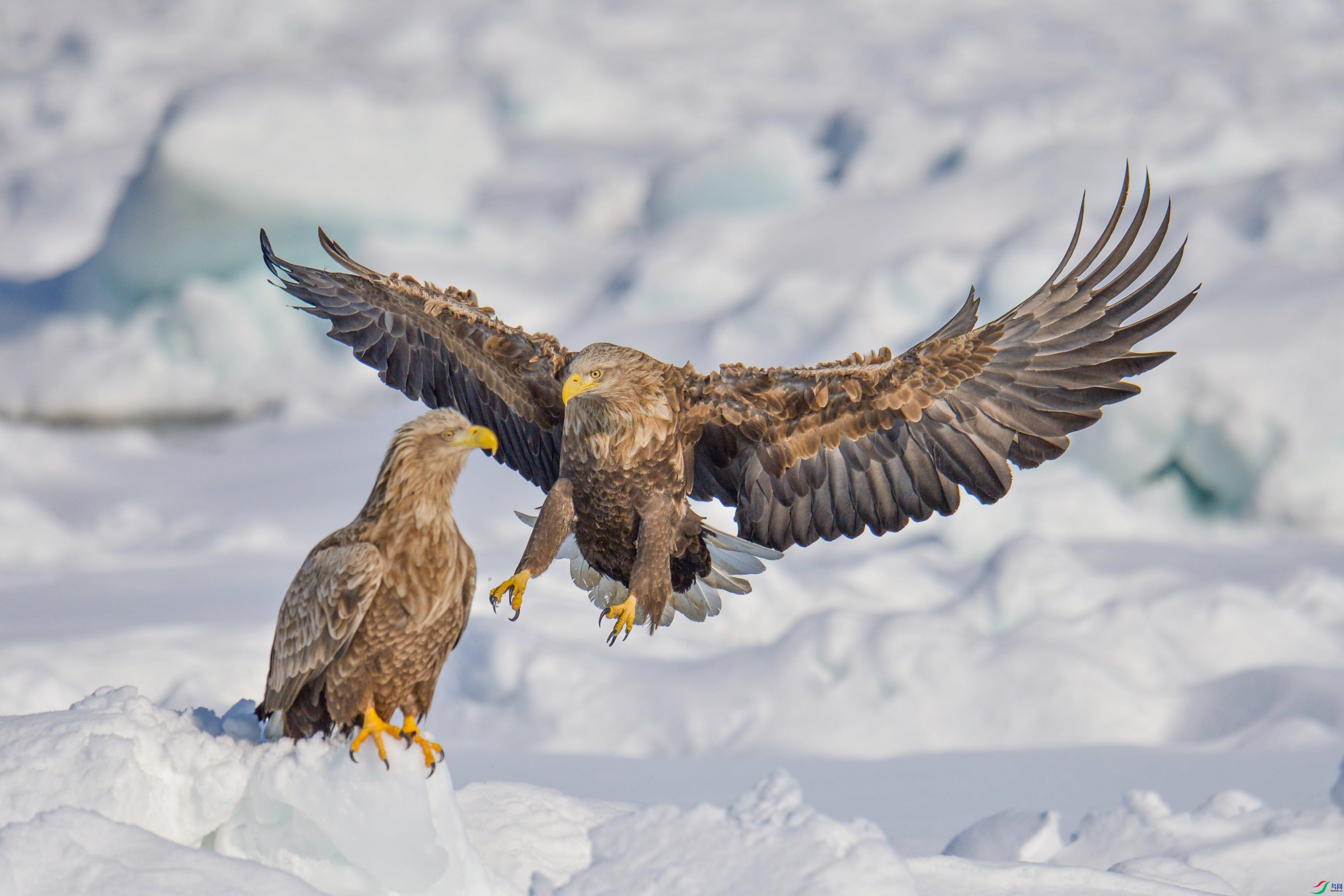 DSC_7055_��ͼ��_1.jpg