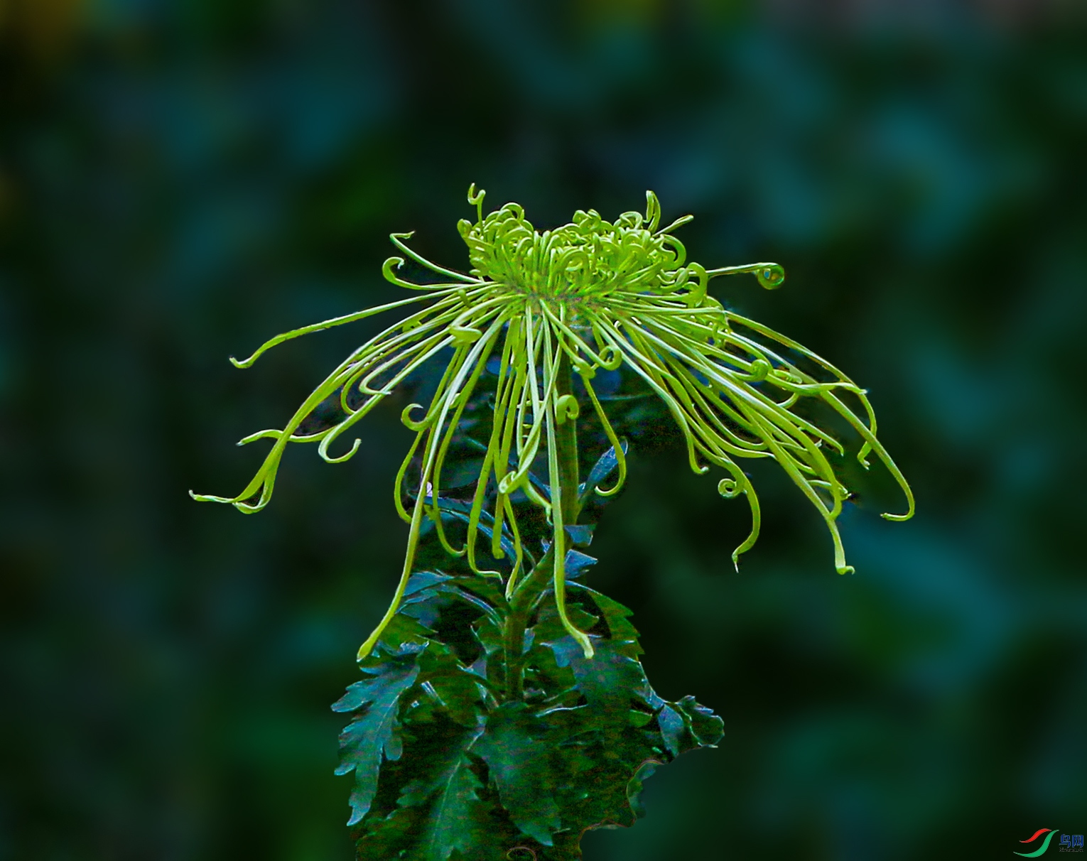 000002U9A0368��Ұ1000k.jpg