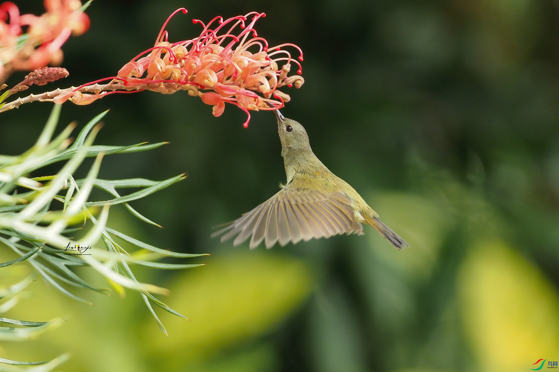 ΢��ͼƬ_20230702144750 ����.jpg