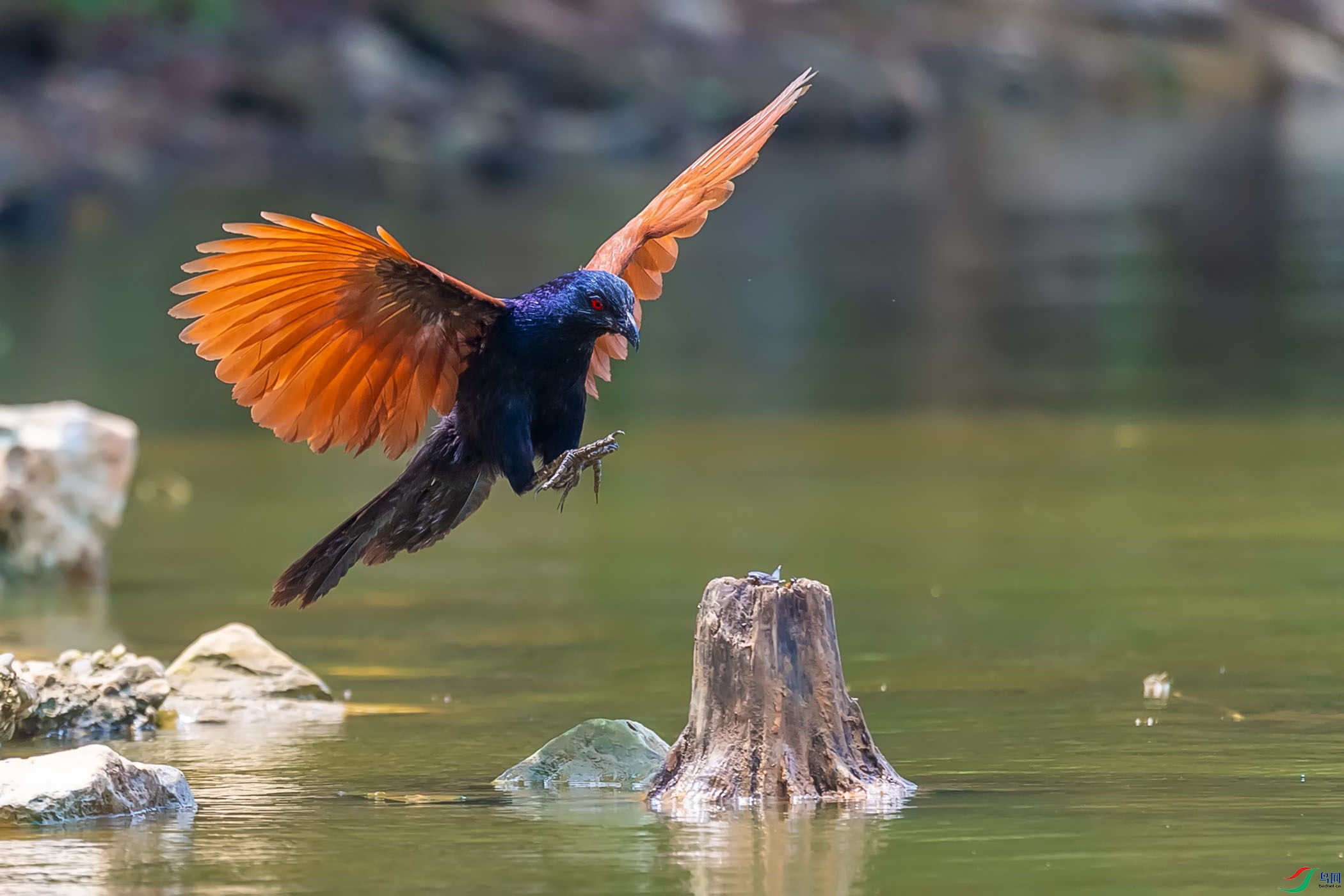 DSC_4064.jpg