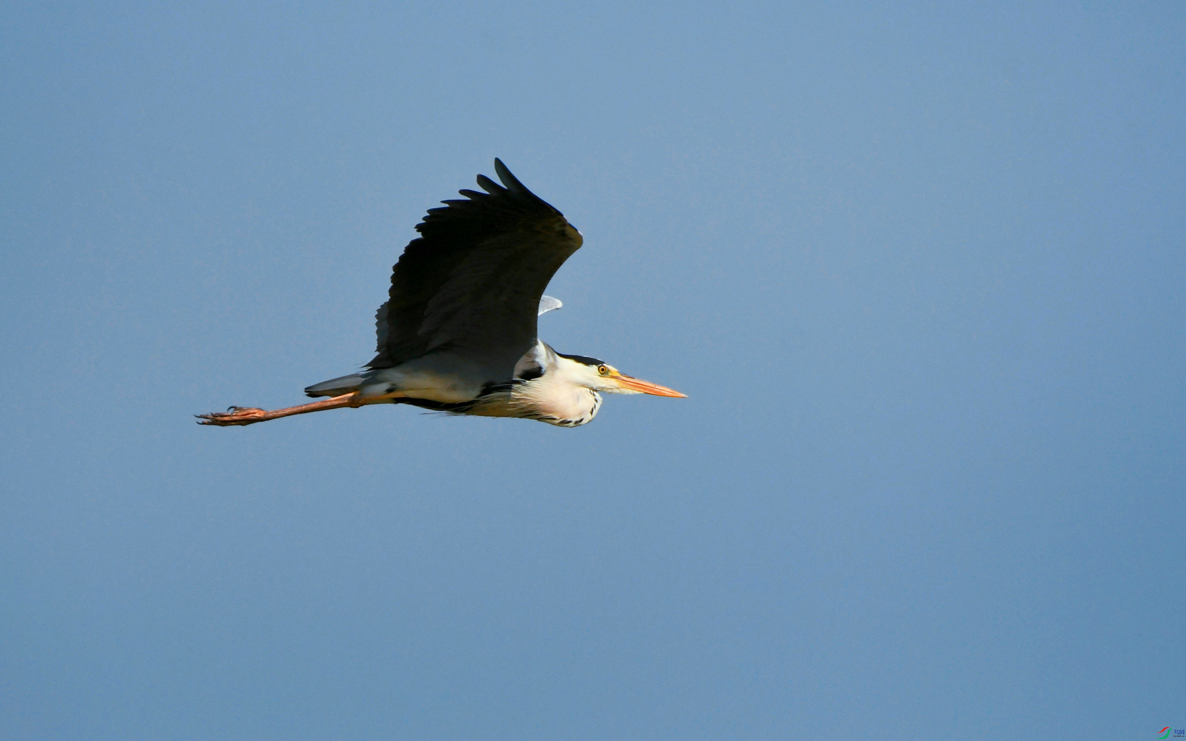 DSC_3479.JPG