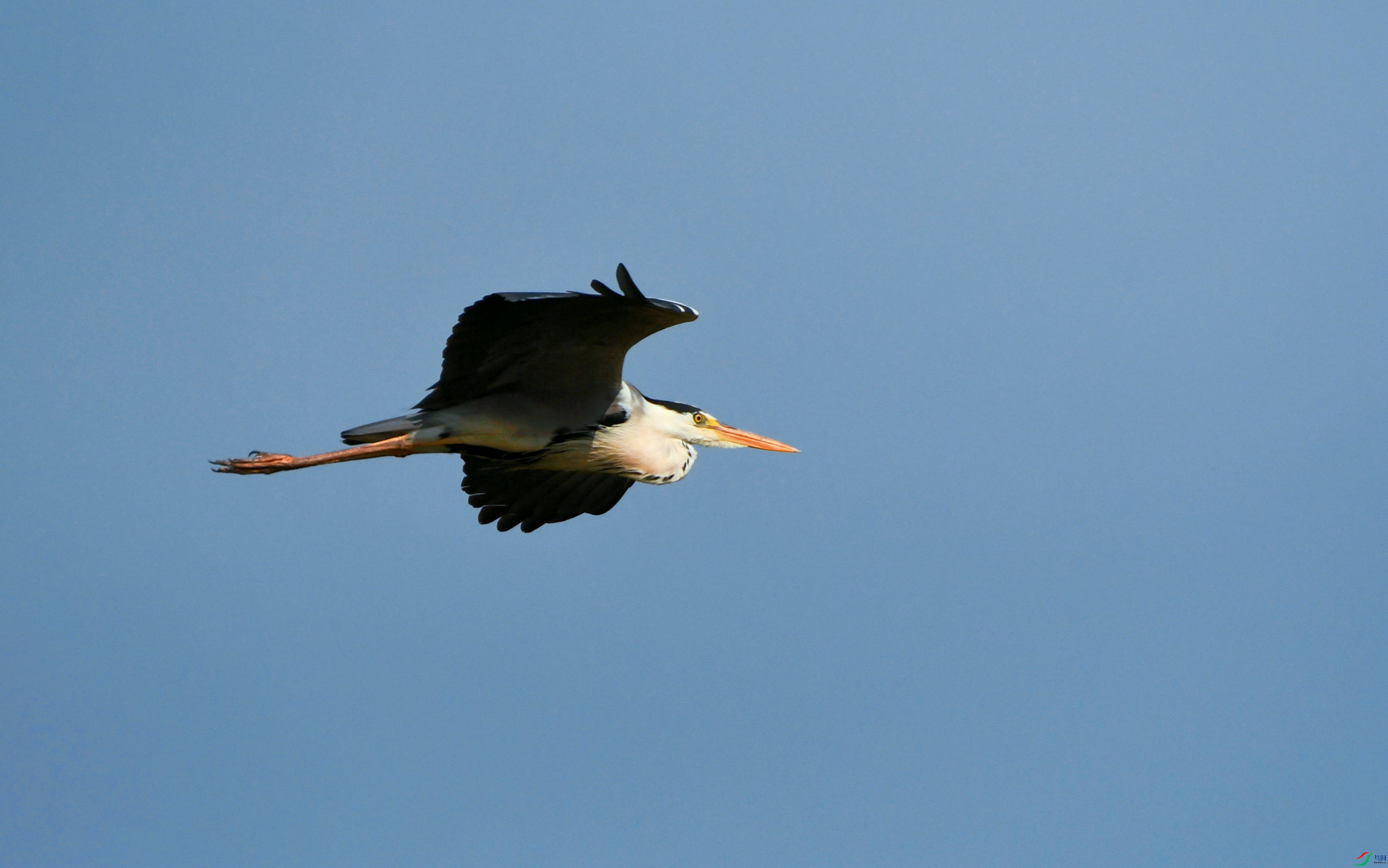 DSC_3480.JPG
