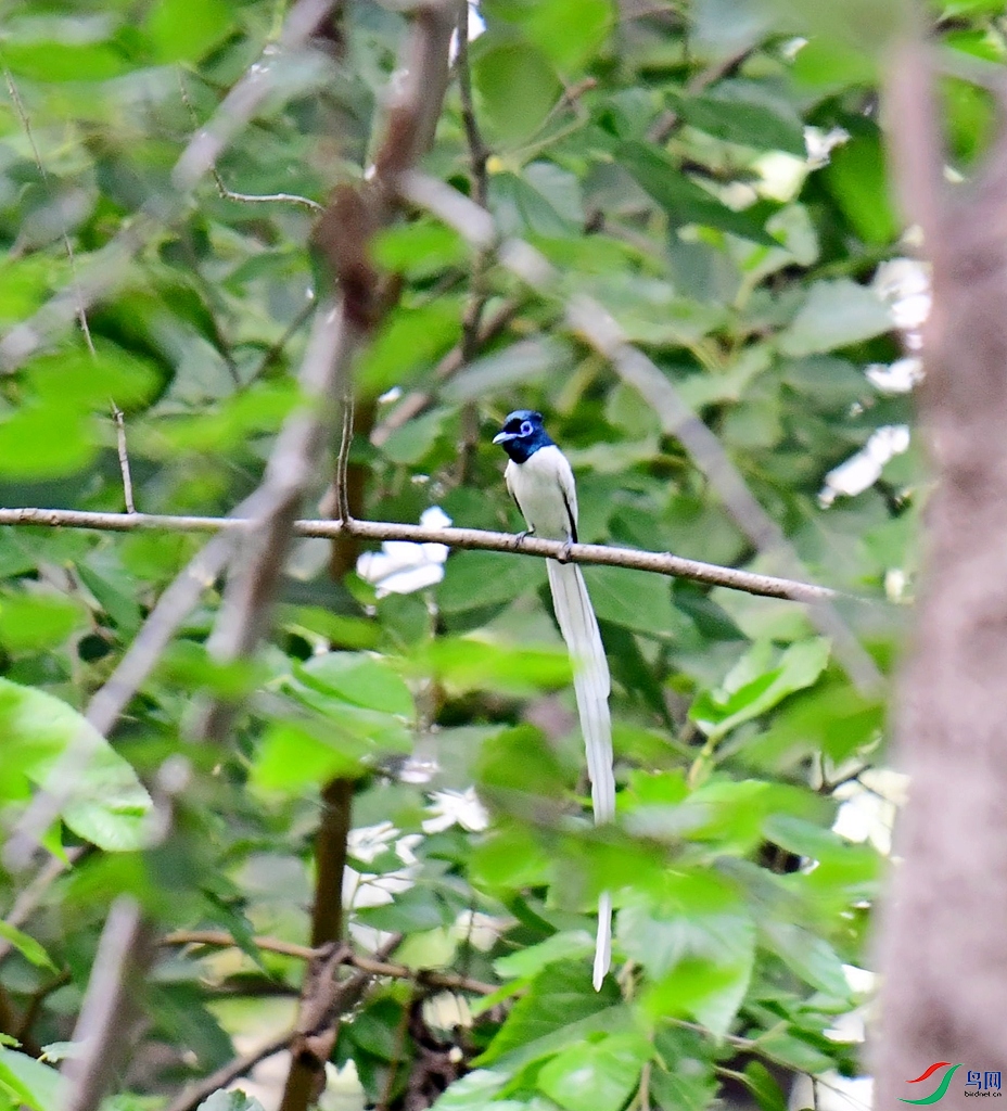 DSC_0424.jpg