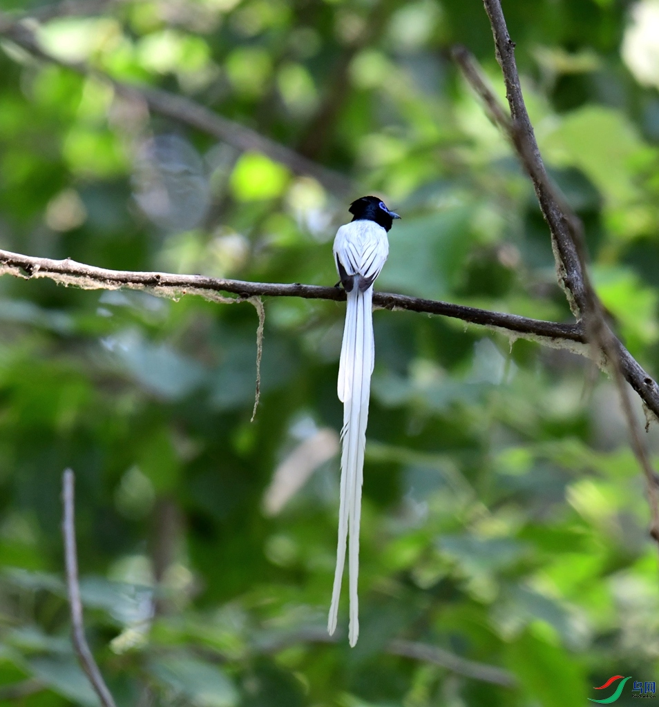 DSC_0277.jpg