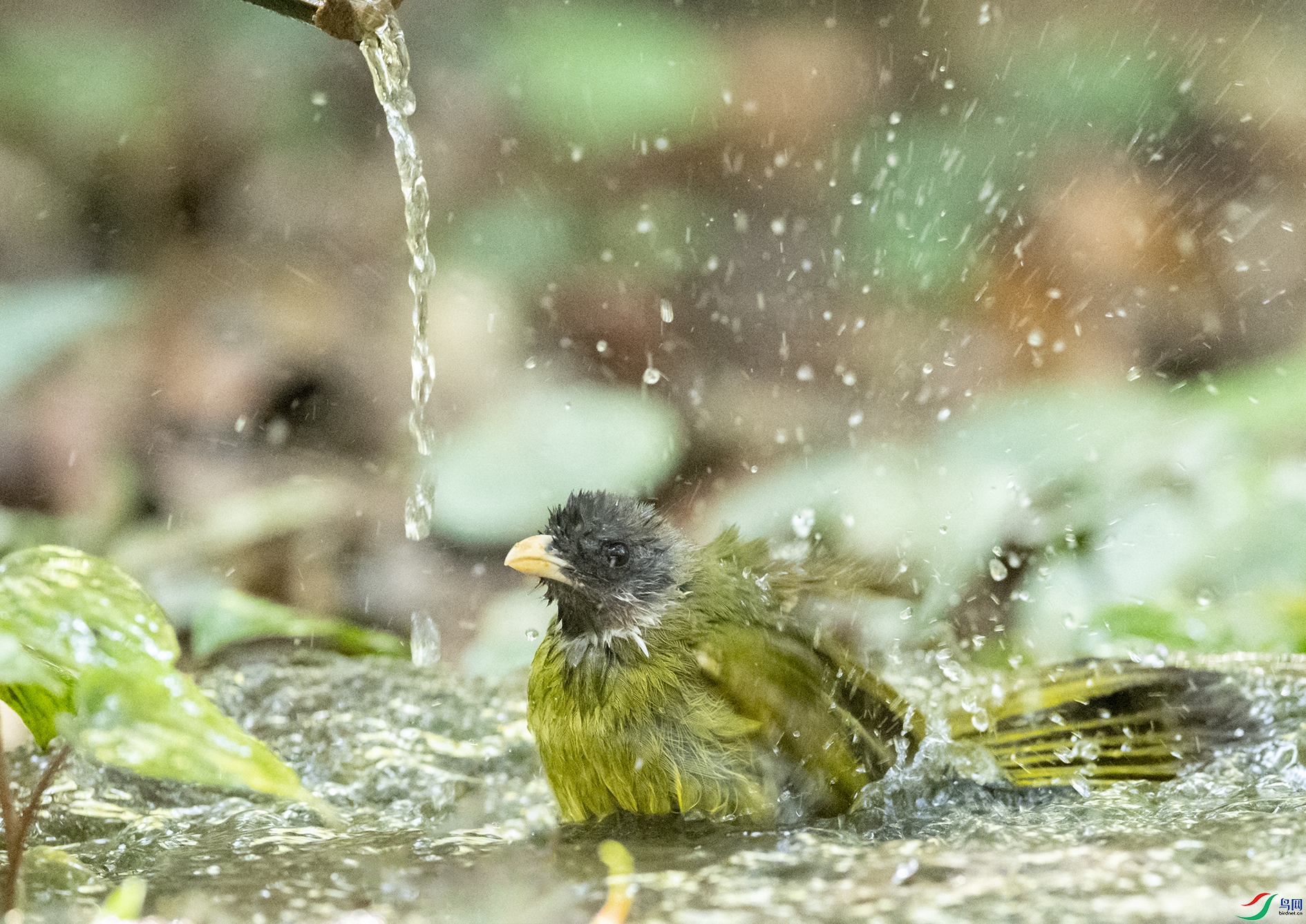 6755 ����.jpg