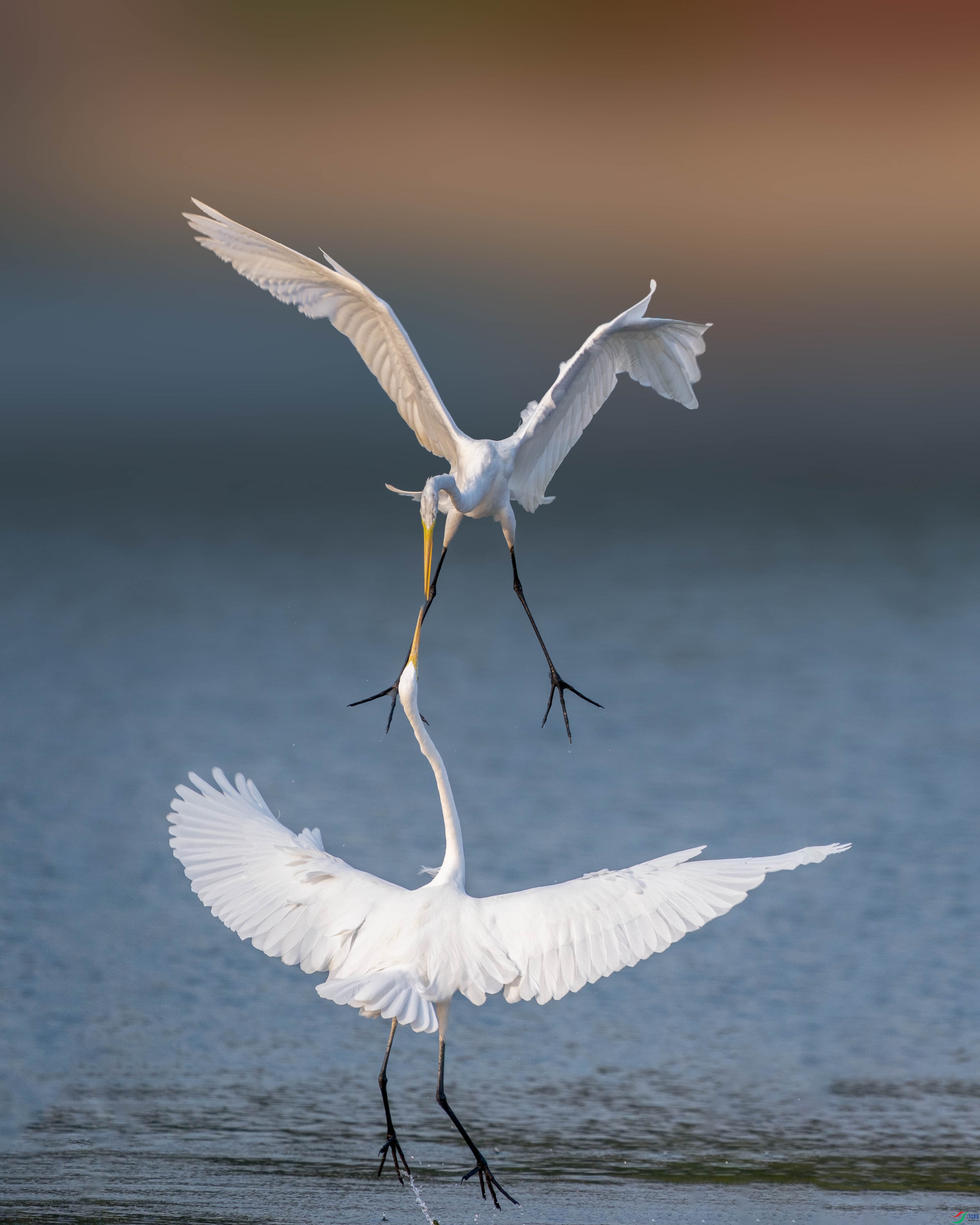 _ZZX4364 ����.jpg