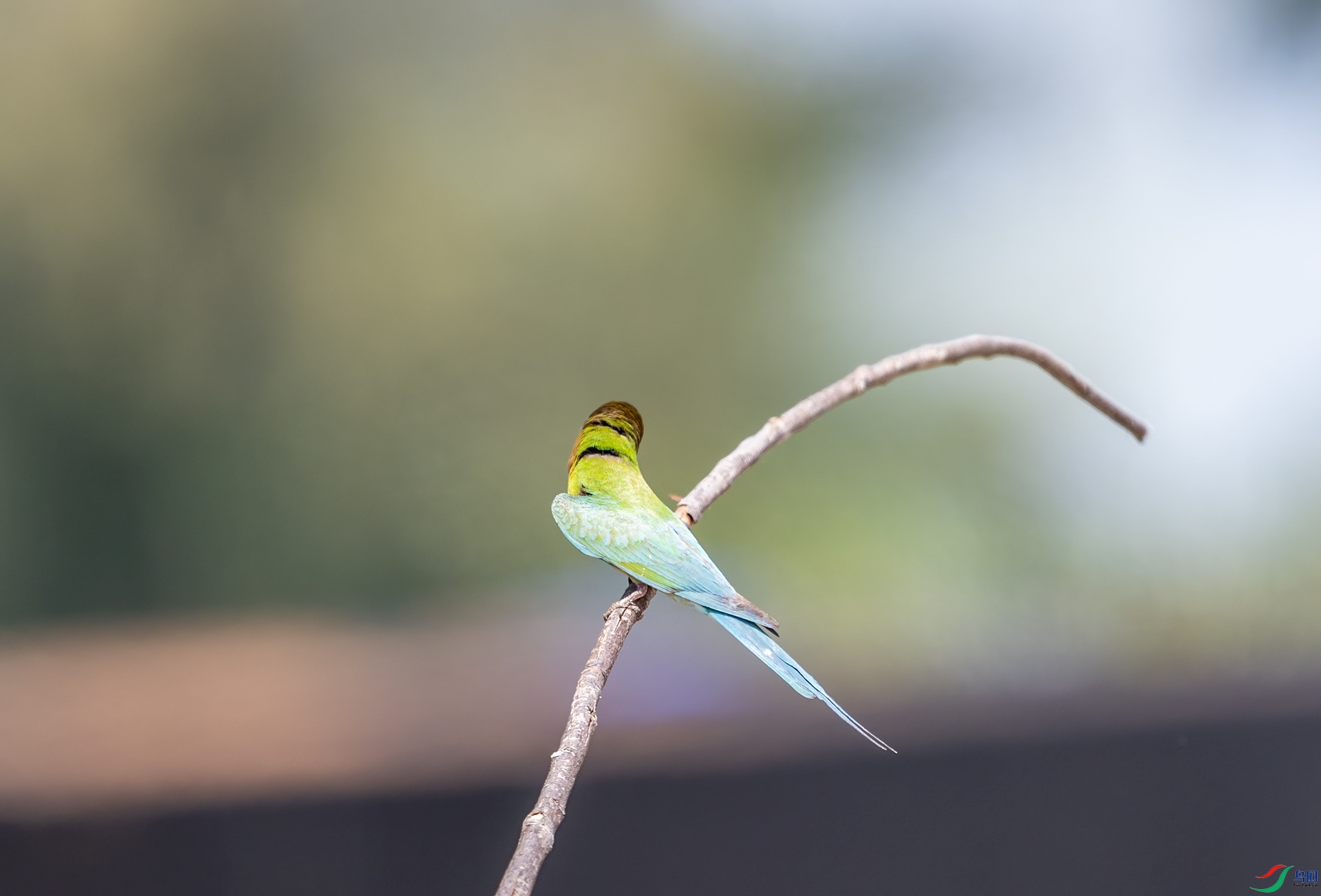 DSC_0005.jpg