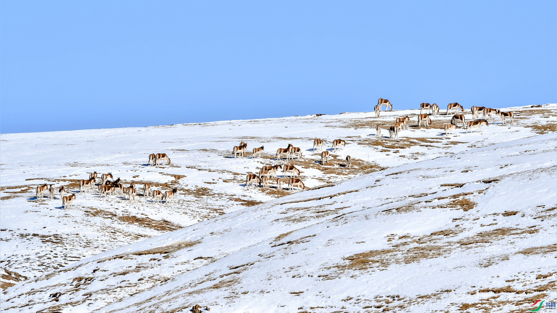 DSC_6715 (2)_����.jpg