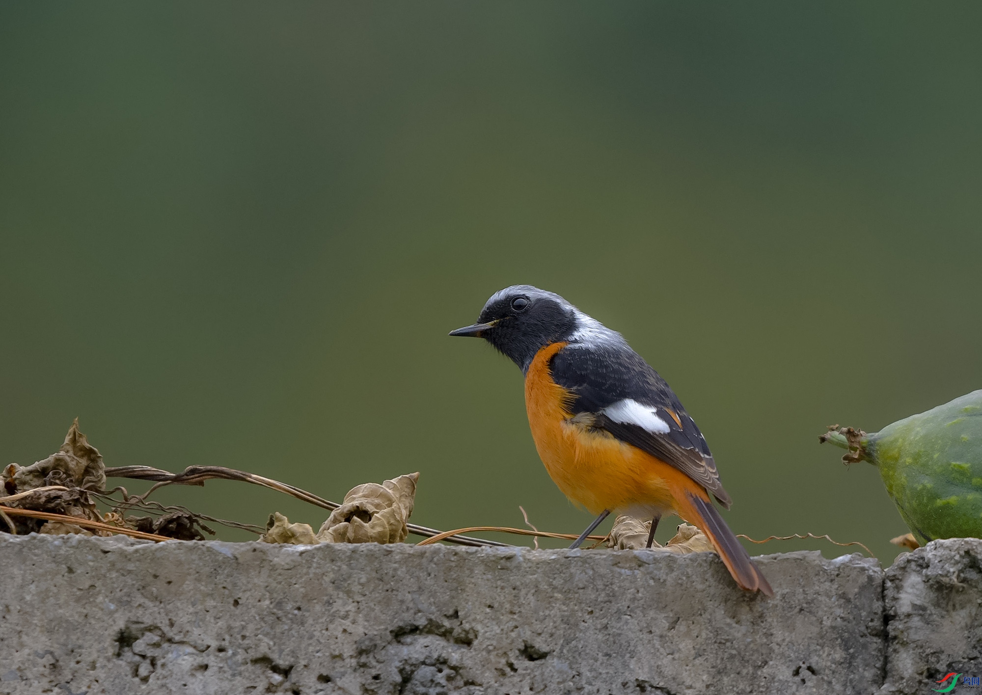 DSC_3955.JPG
