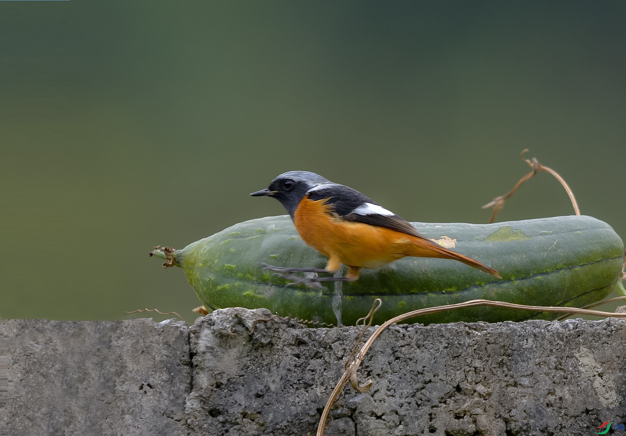 DSC_3948.JPG